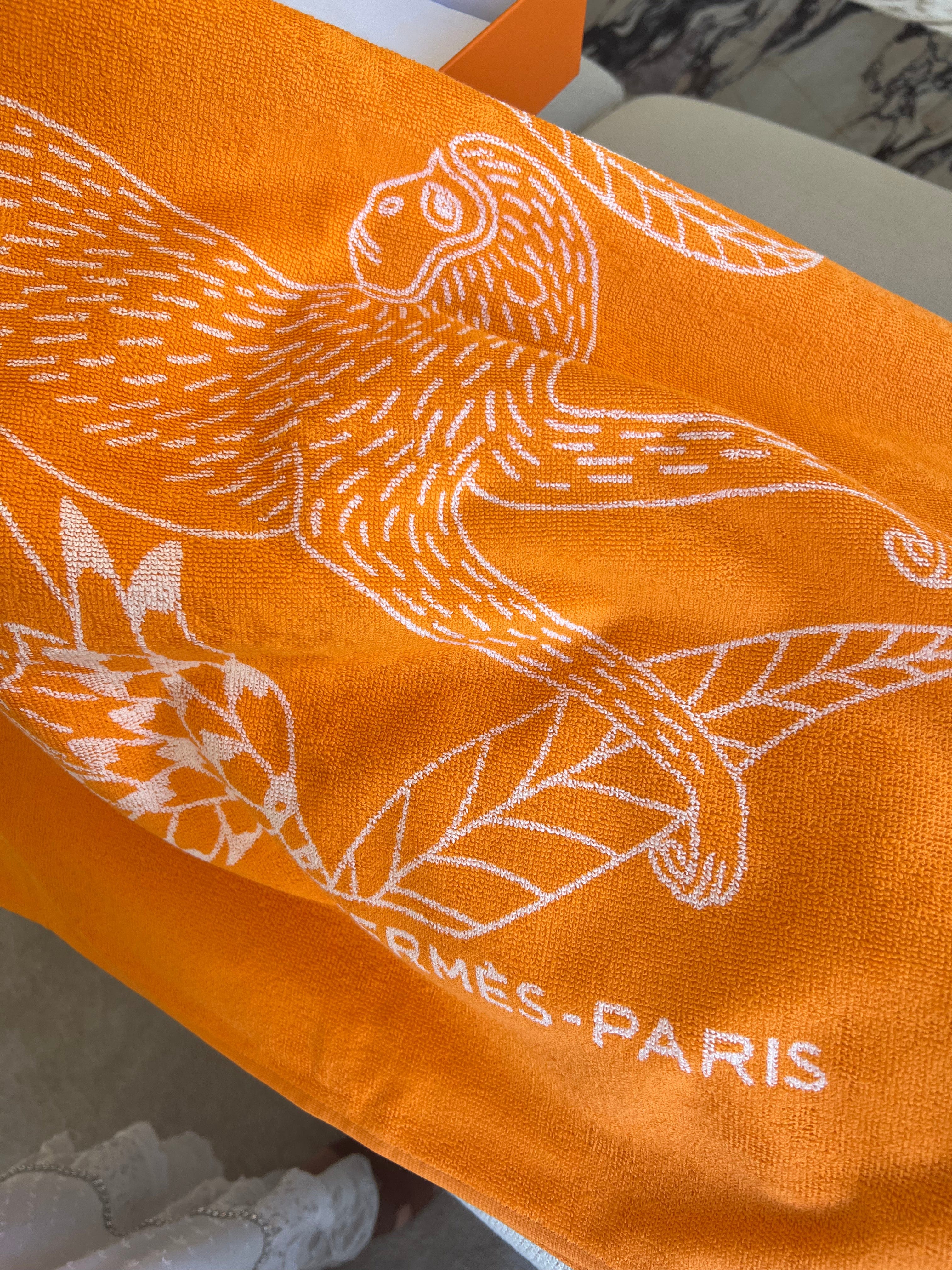 Hermes Scarf - Indian Orange – LuxuryPromise