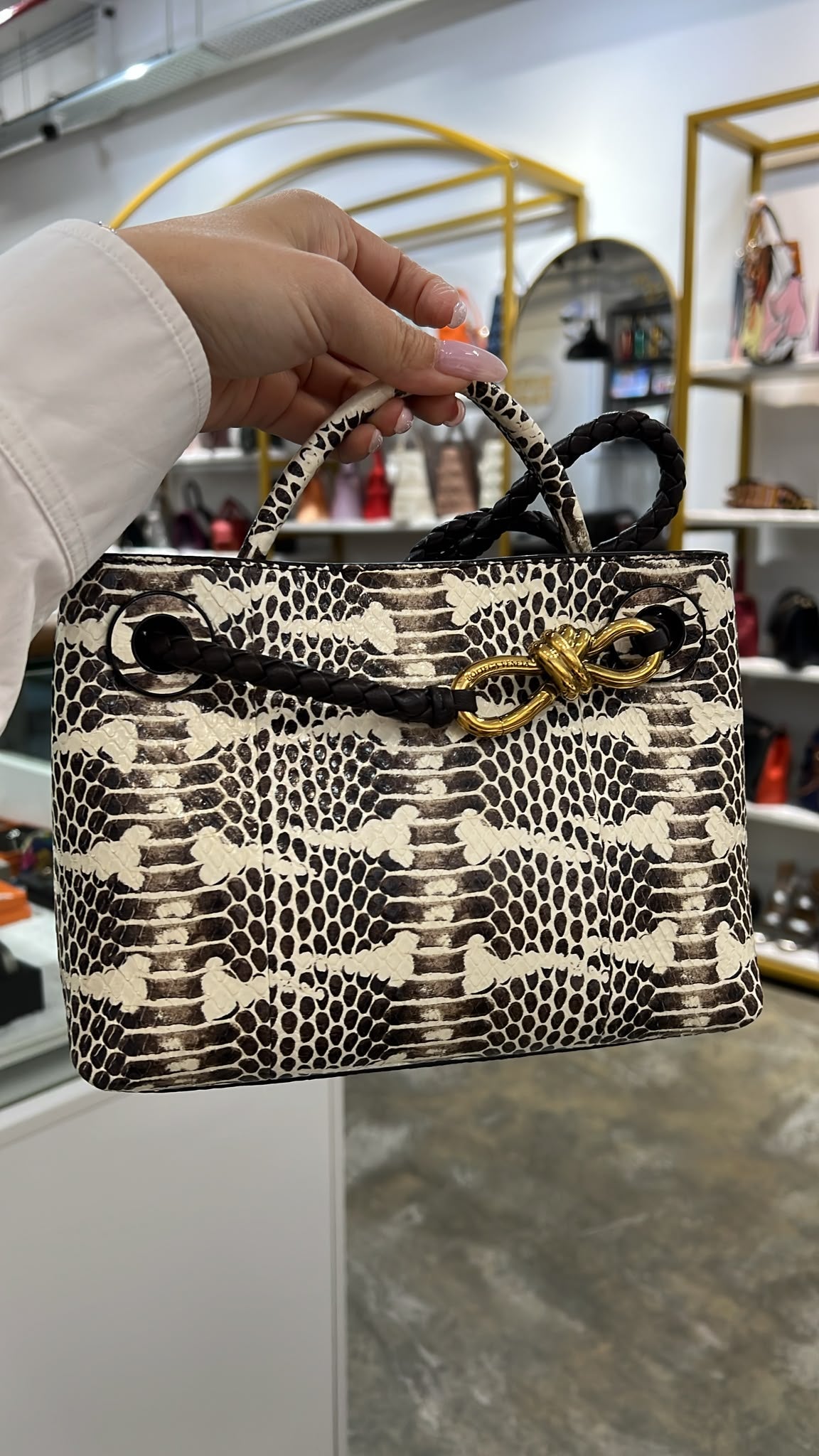 Bottega Veneta Mini Andiamo Python Shoulder Bag in GHW SYC2031