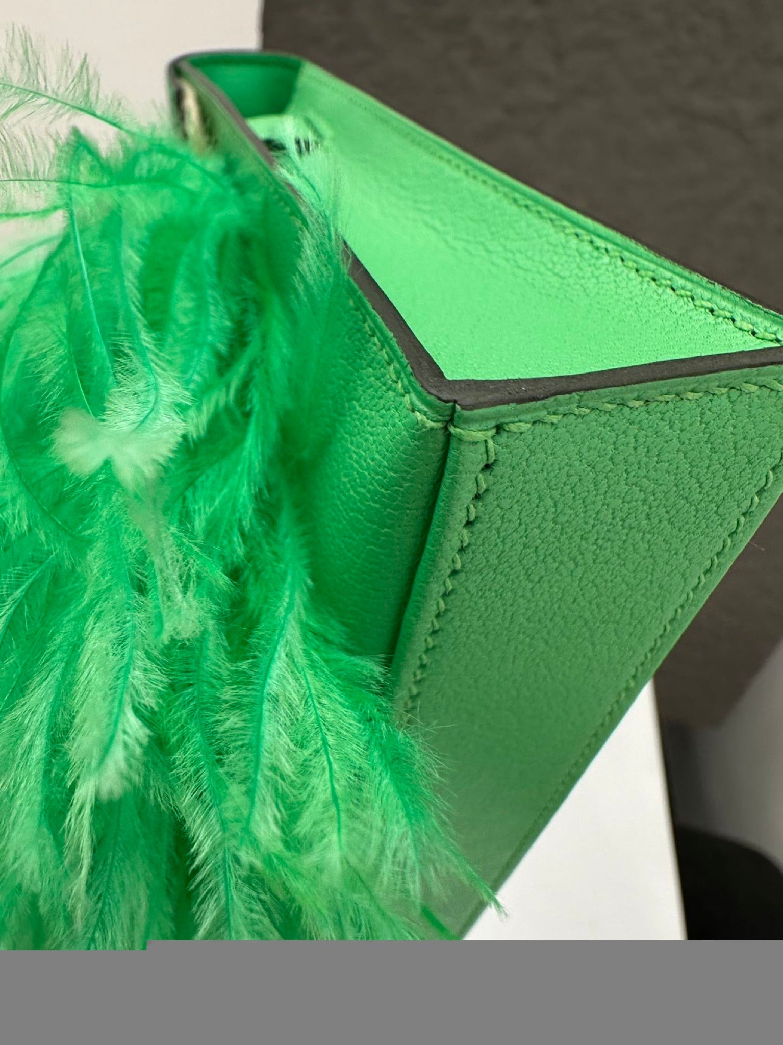 Hermès Kelly Elan Folie Ostrich Feather image 10