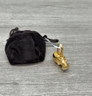 HERMES Vintage Gold Hippo Lock 3032604254346