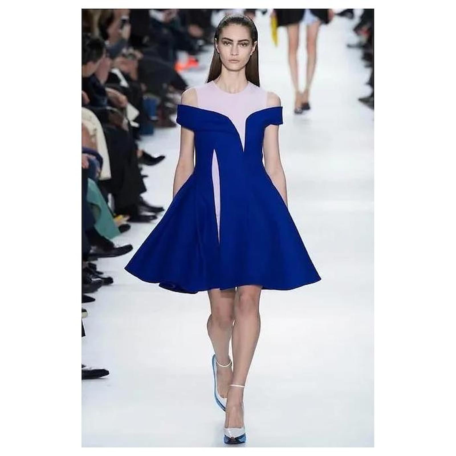 Dior par Raf Simons 2014 Dress AKC1485