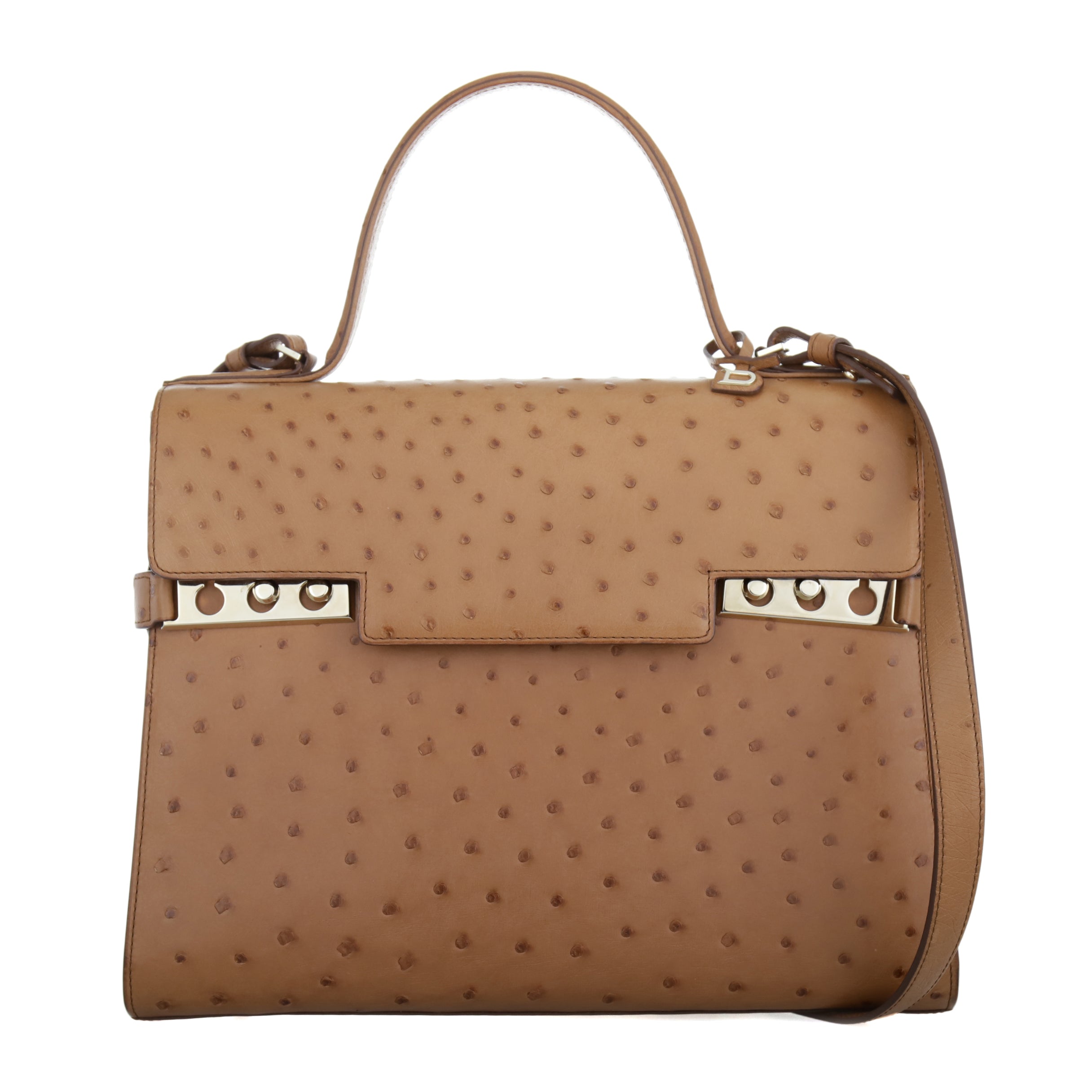 Delvaux Ostrich Tempete GM Tote Bag DEL01528B
