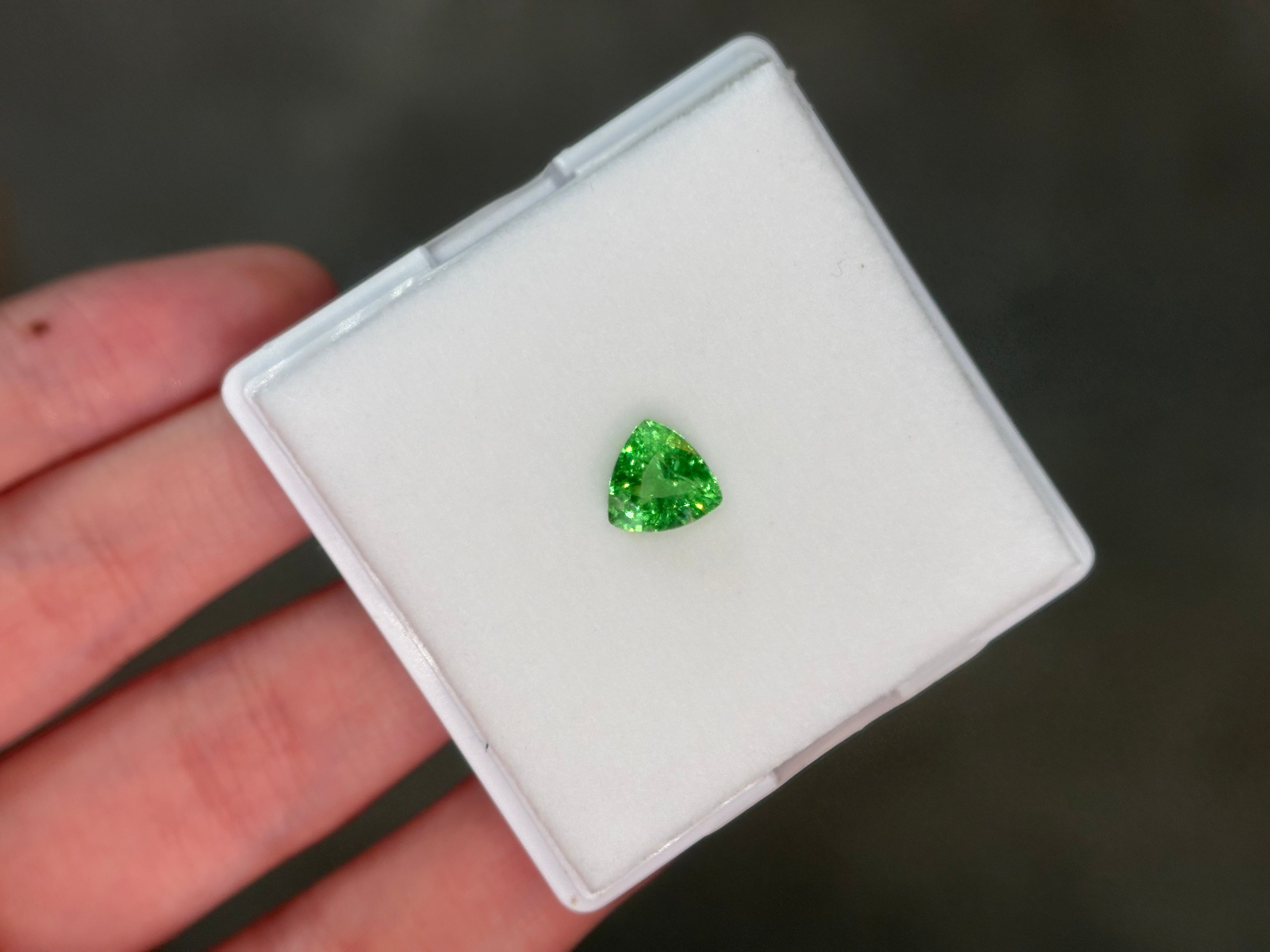 1.44ct Tsavorite Trillion DXBCS5915