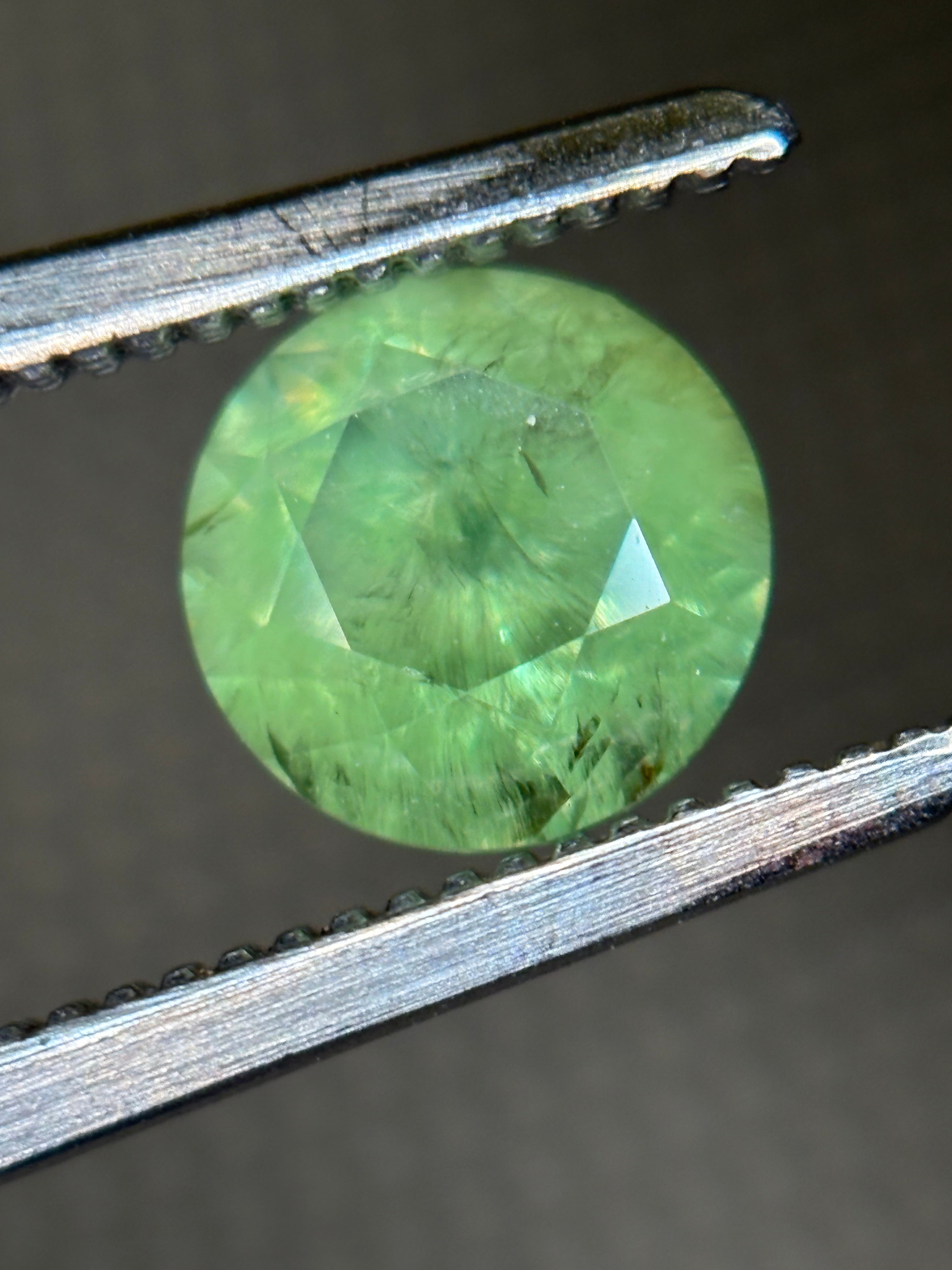 1.07ct Museum Grade Russian Demantoid Bobrovka (4) DXBCS4846