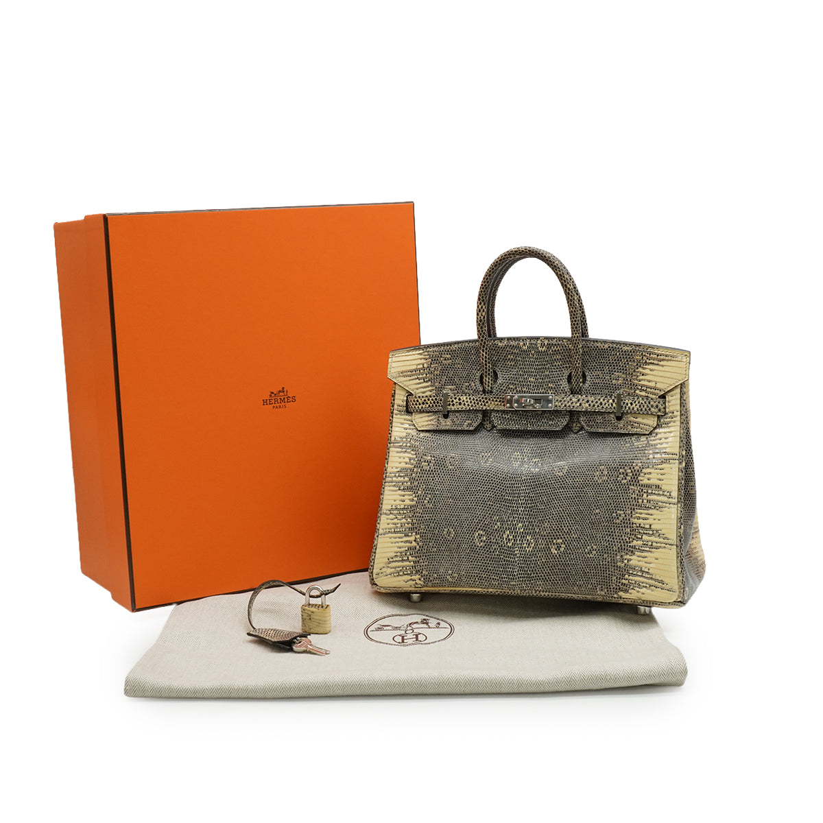 HERMES BIRKIN 25 OMBRE LIZARD NATURA 2010 SQUARE N PALLADIUM HARDWARE 90346644