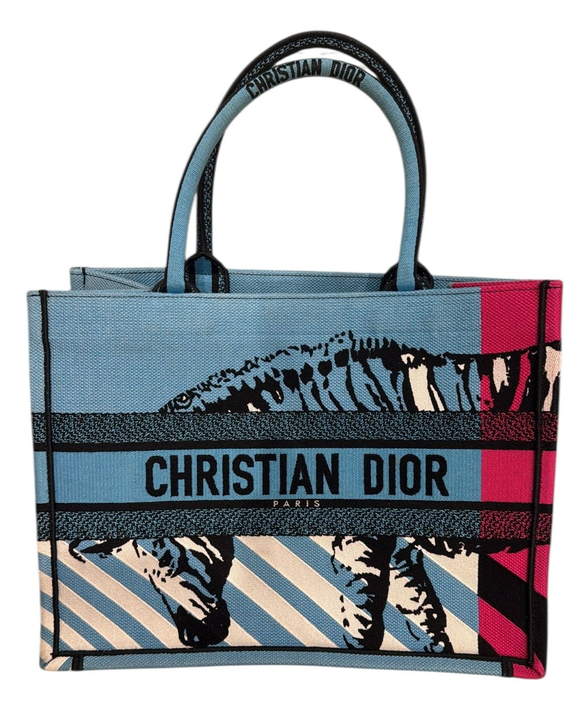 Dior Tote Bag