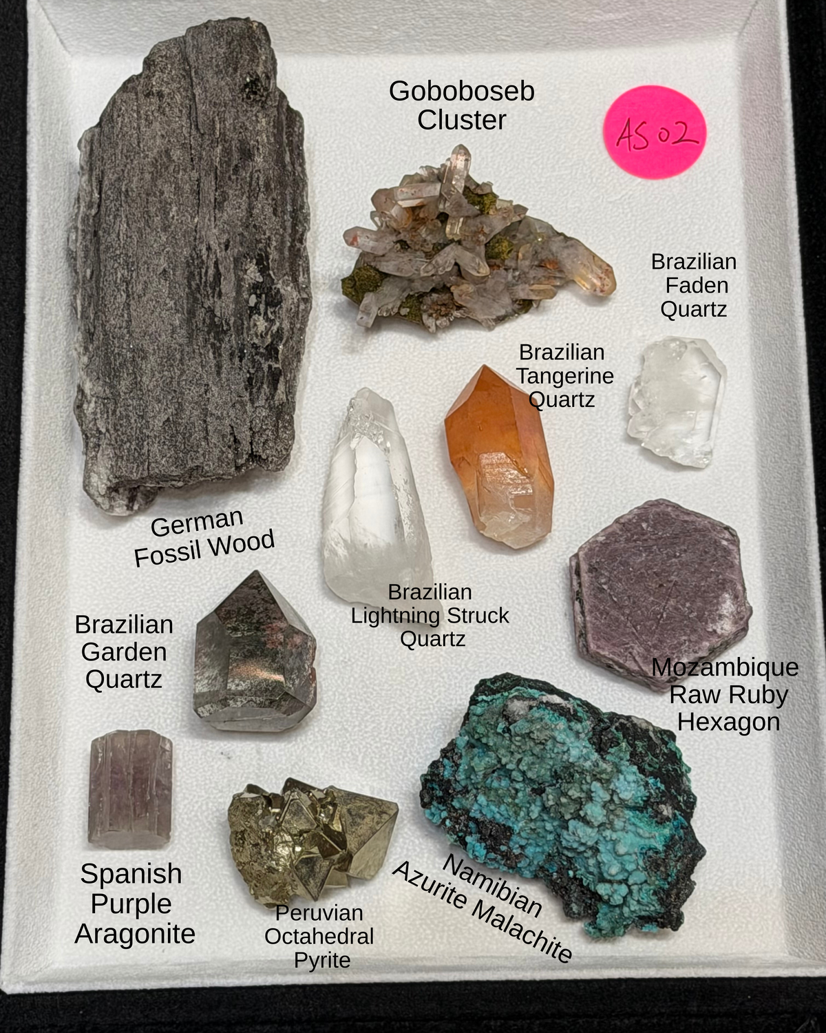 Advanced Beginner Specimen Set 2 AS02