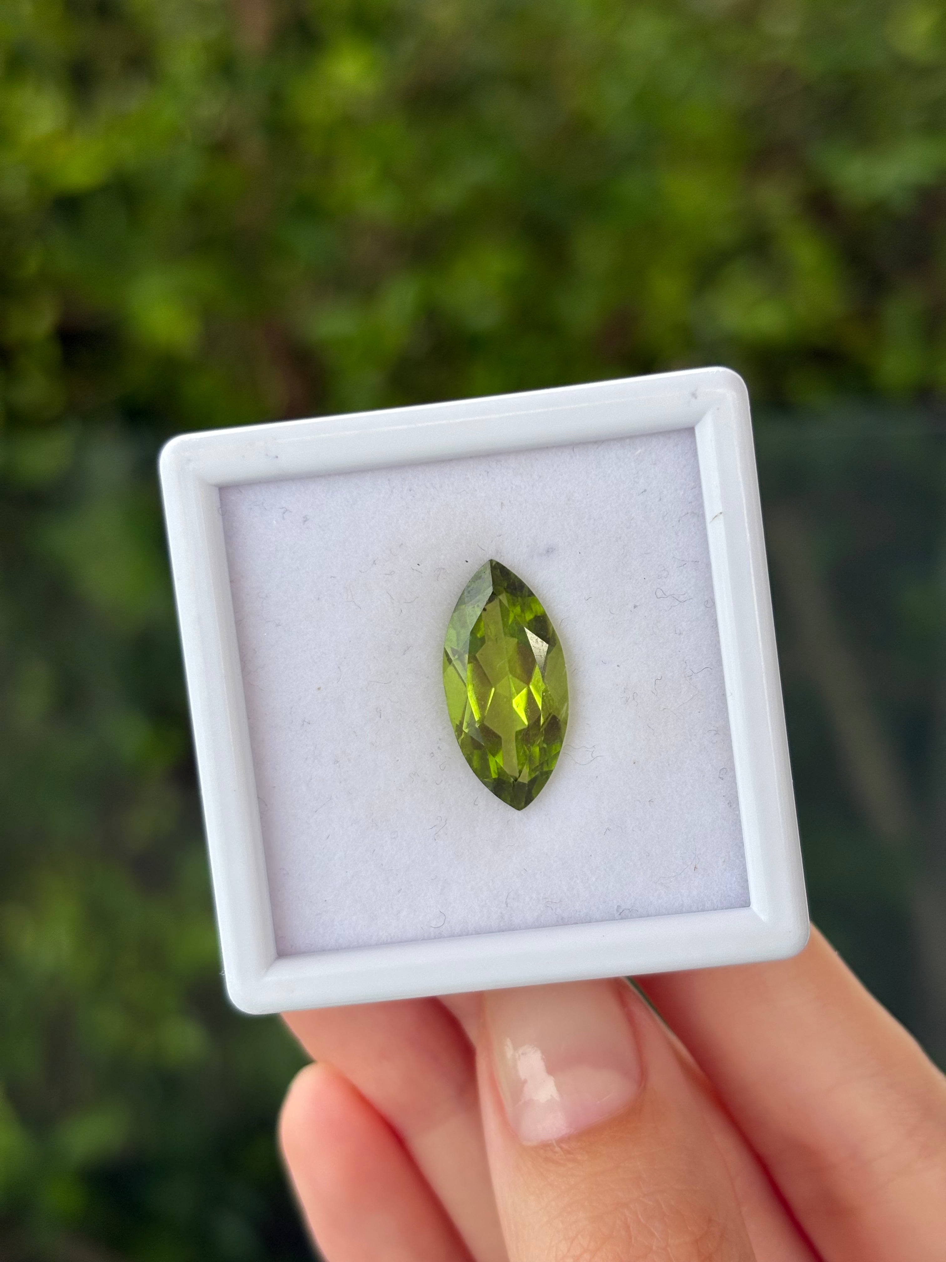 5.80ct Peridot Marquise DXBCS5242
