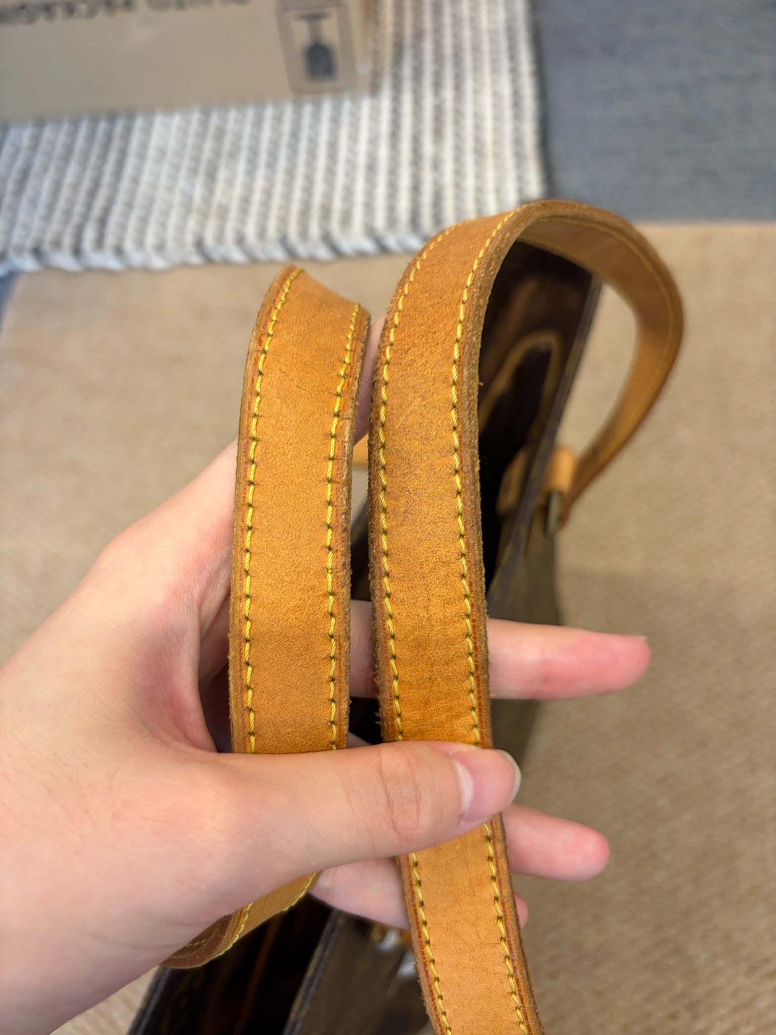 Louis Vuitton Vertical Tote Bag