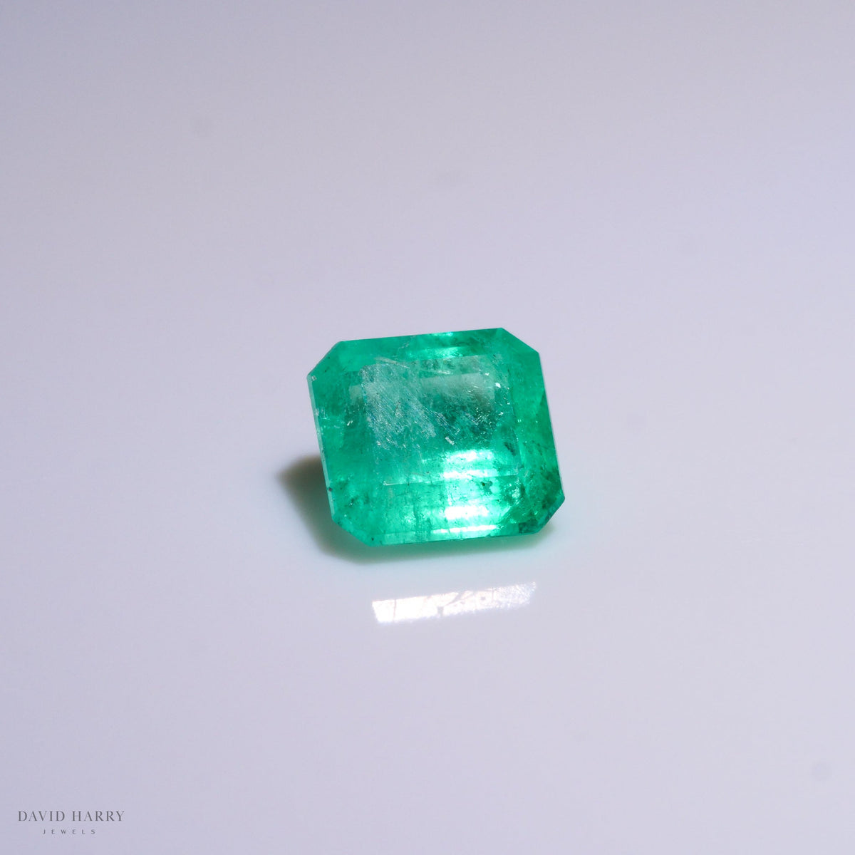 CEM008