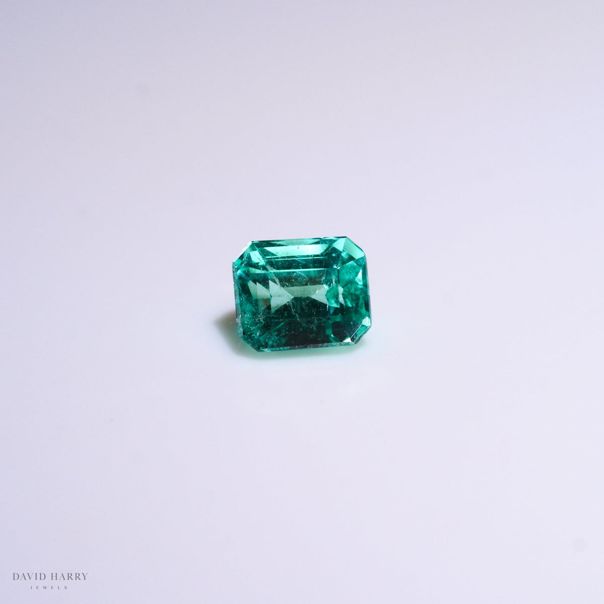 CEM010