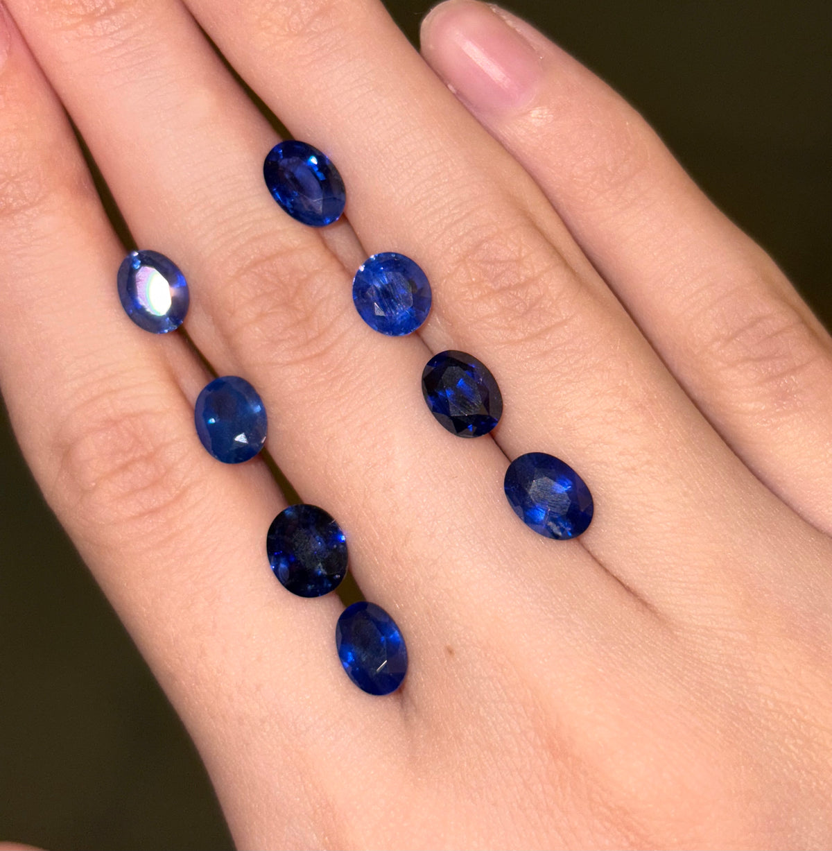 Royal Blue Sapphire Sri Lanka DXBCS6679