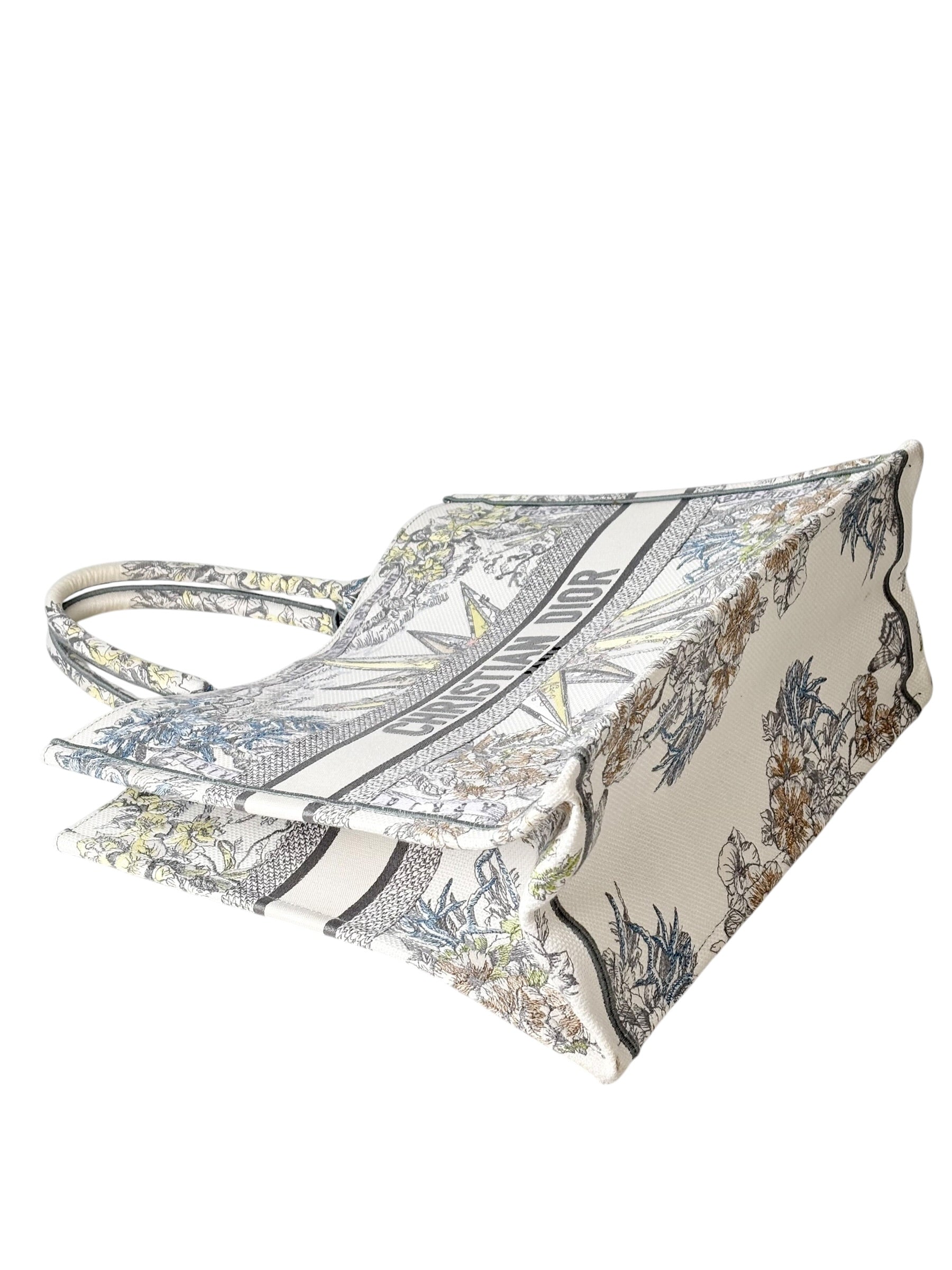 Dior Book Tote GM Bag