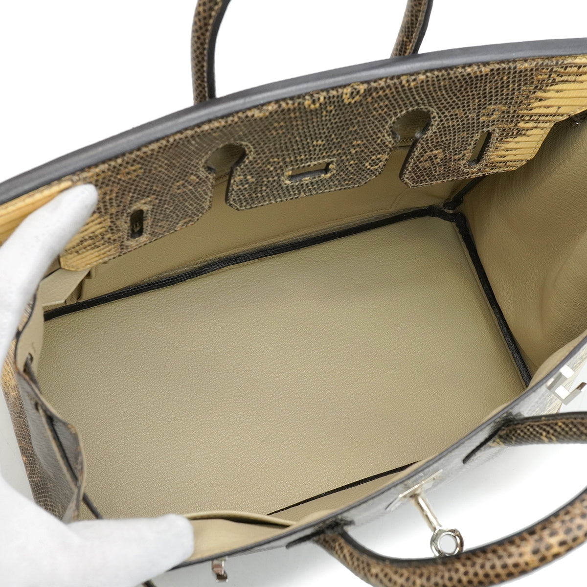 HERMES BIRKIN 25 OMBRE LIZARD NATURA 2010 SQUARE N PALLADIUM HARDWARE 90346644