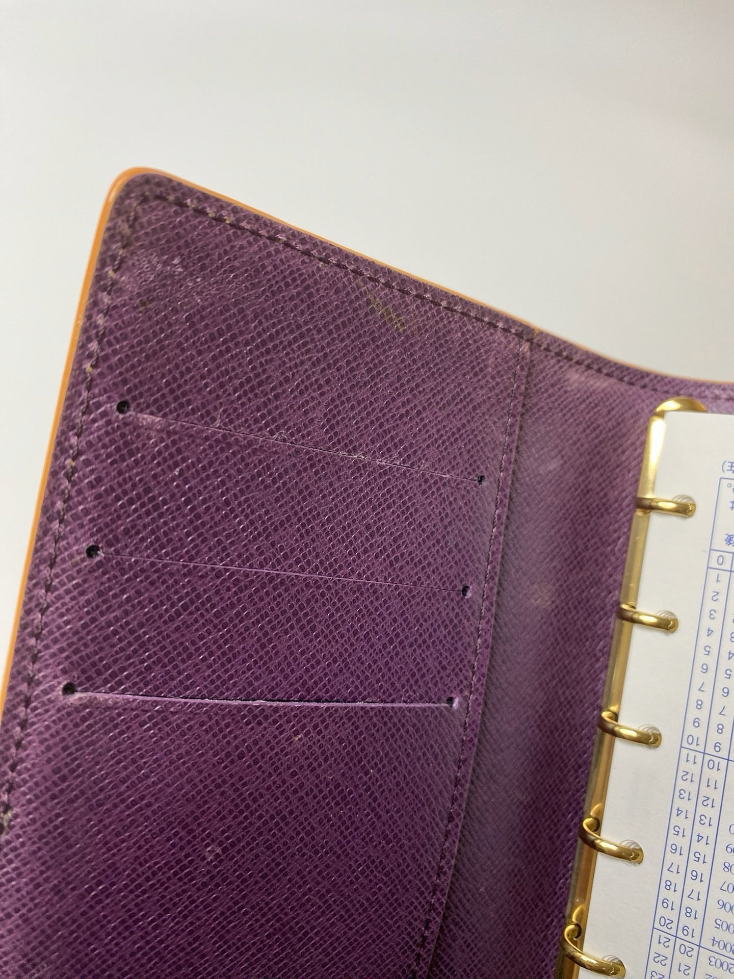 Louis Vuitton Epi six-ring agenda cover detail