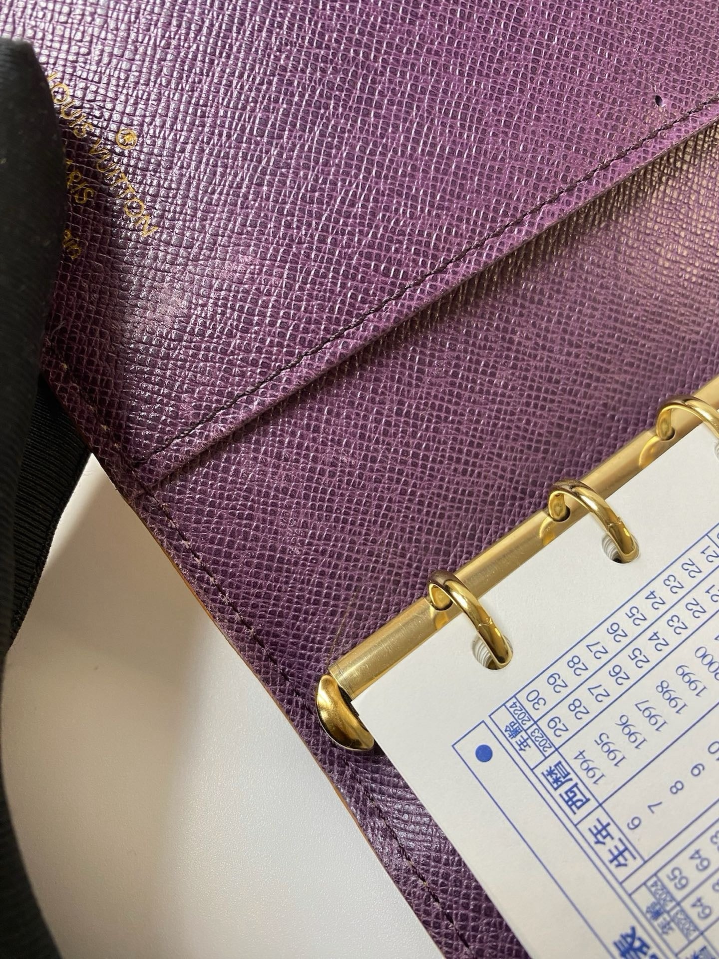 Louis Vuitton Epi six-ring agenda cover detail
