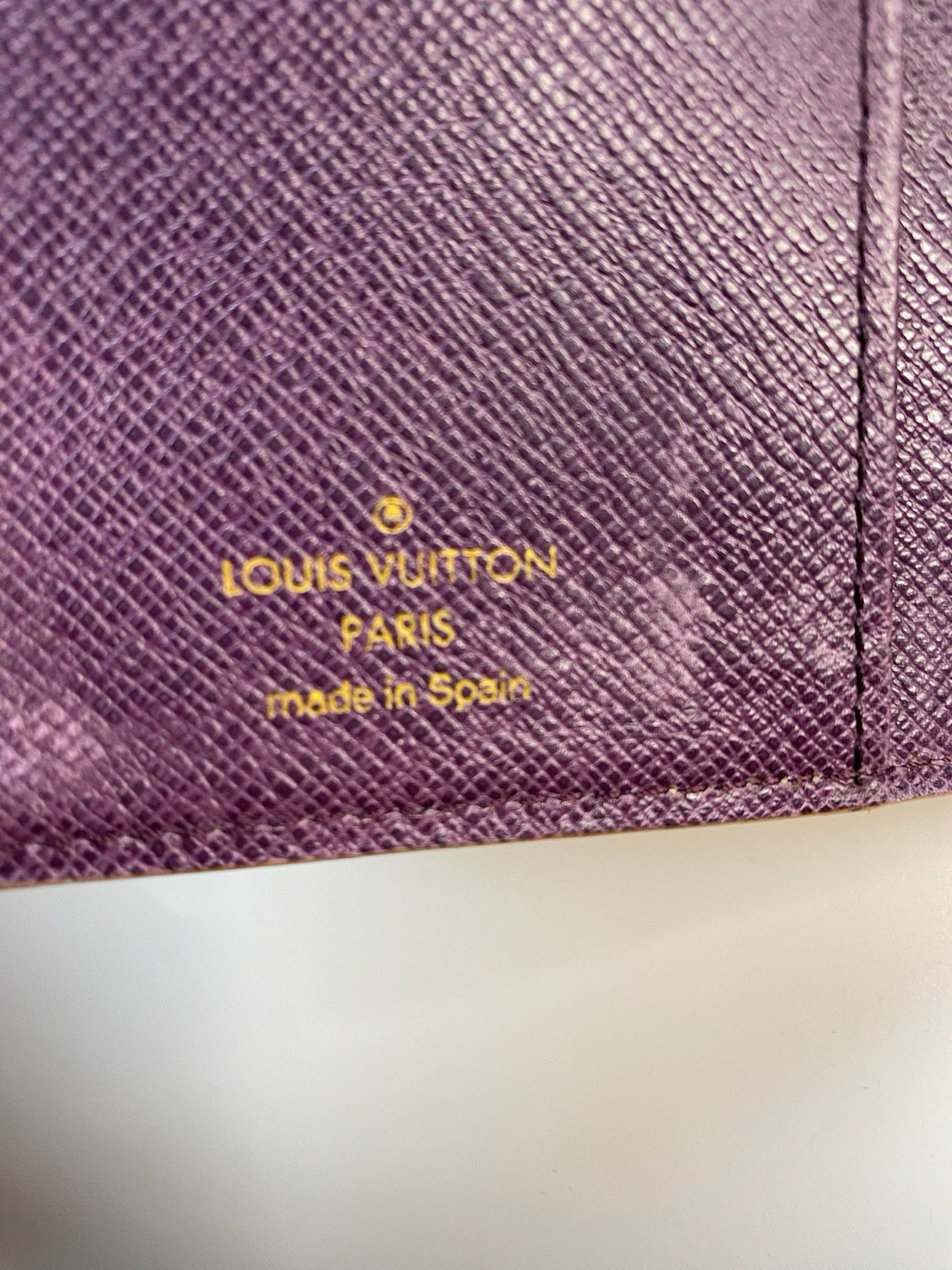 Louis Vuitton Epi six-ring agenda cover detail