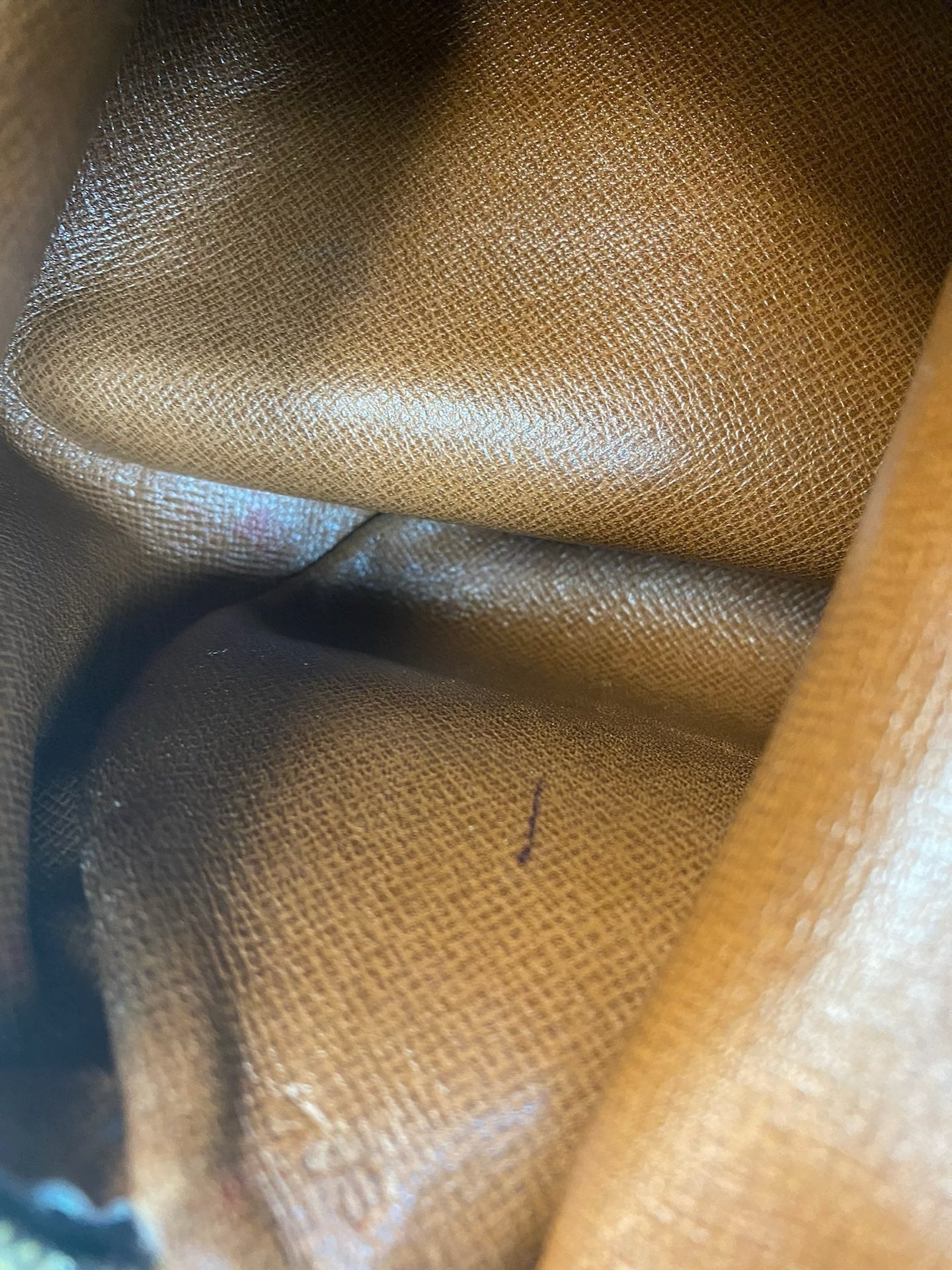 Louis Vuitton Papillon 26 monogram canvas handbag detail
