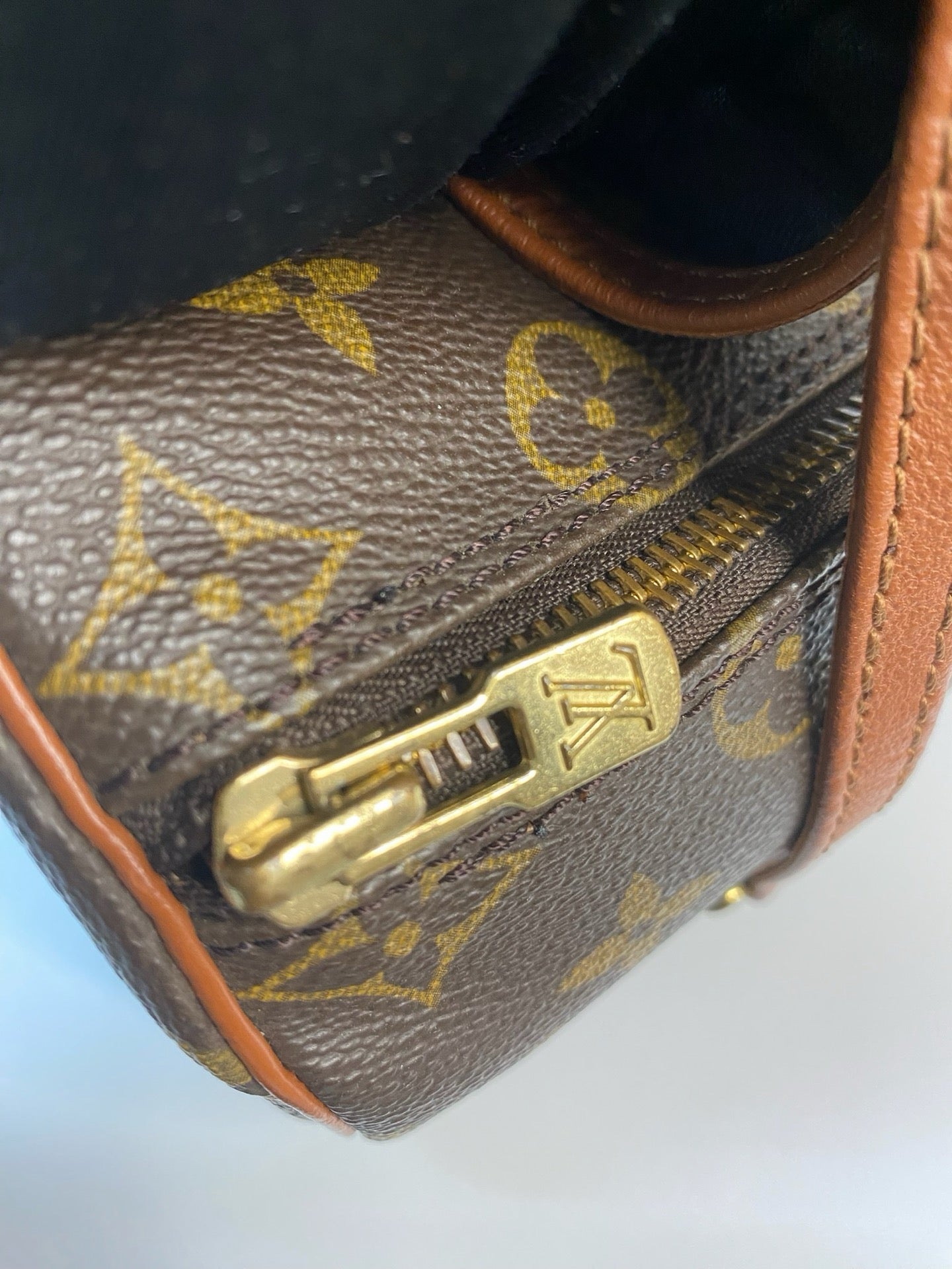 Louis Vuitton Papillon 26 handbag detail