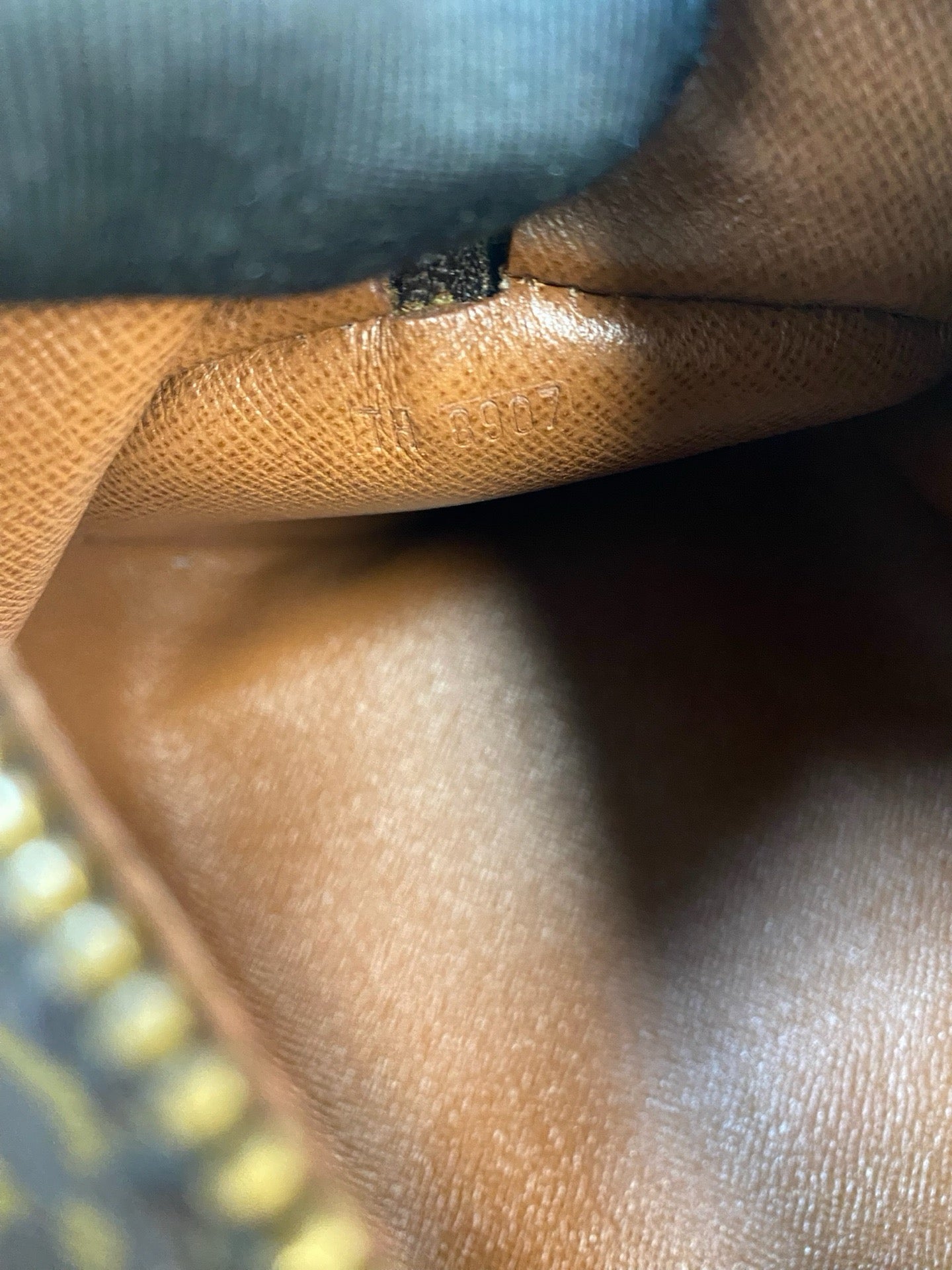 Louis Vuitton Papillon 26 handbag detail