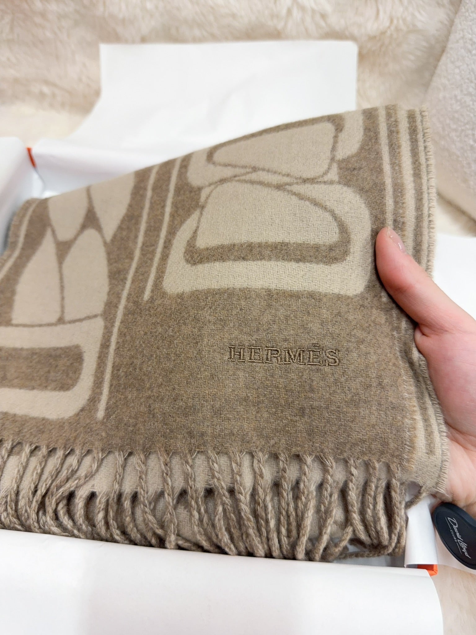 Hermès Fringed Scarf