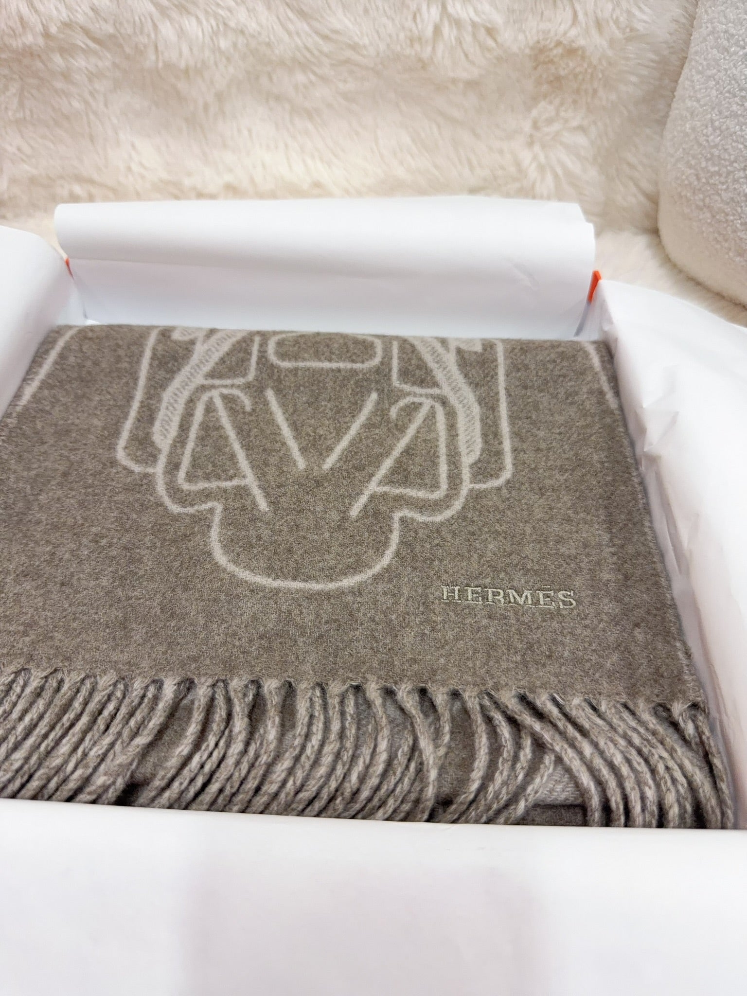 Hermès Fringed Scarf