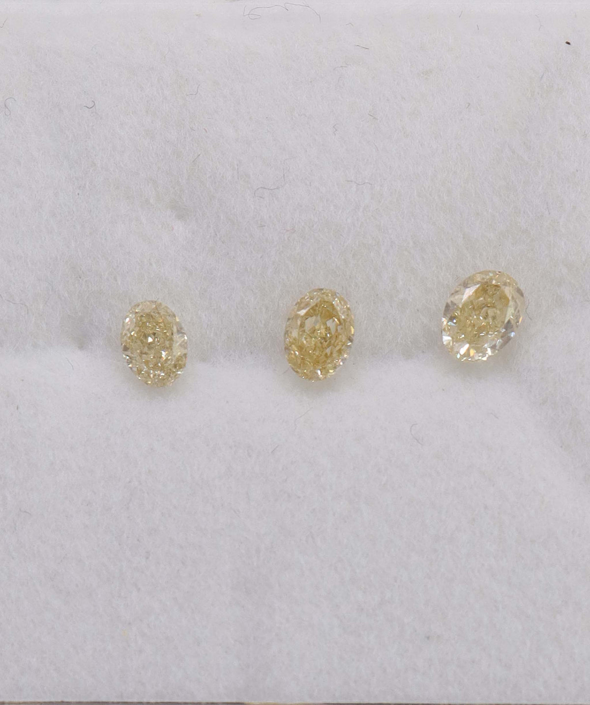 Fancy Yellow Oval Dia ANC2077