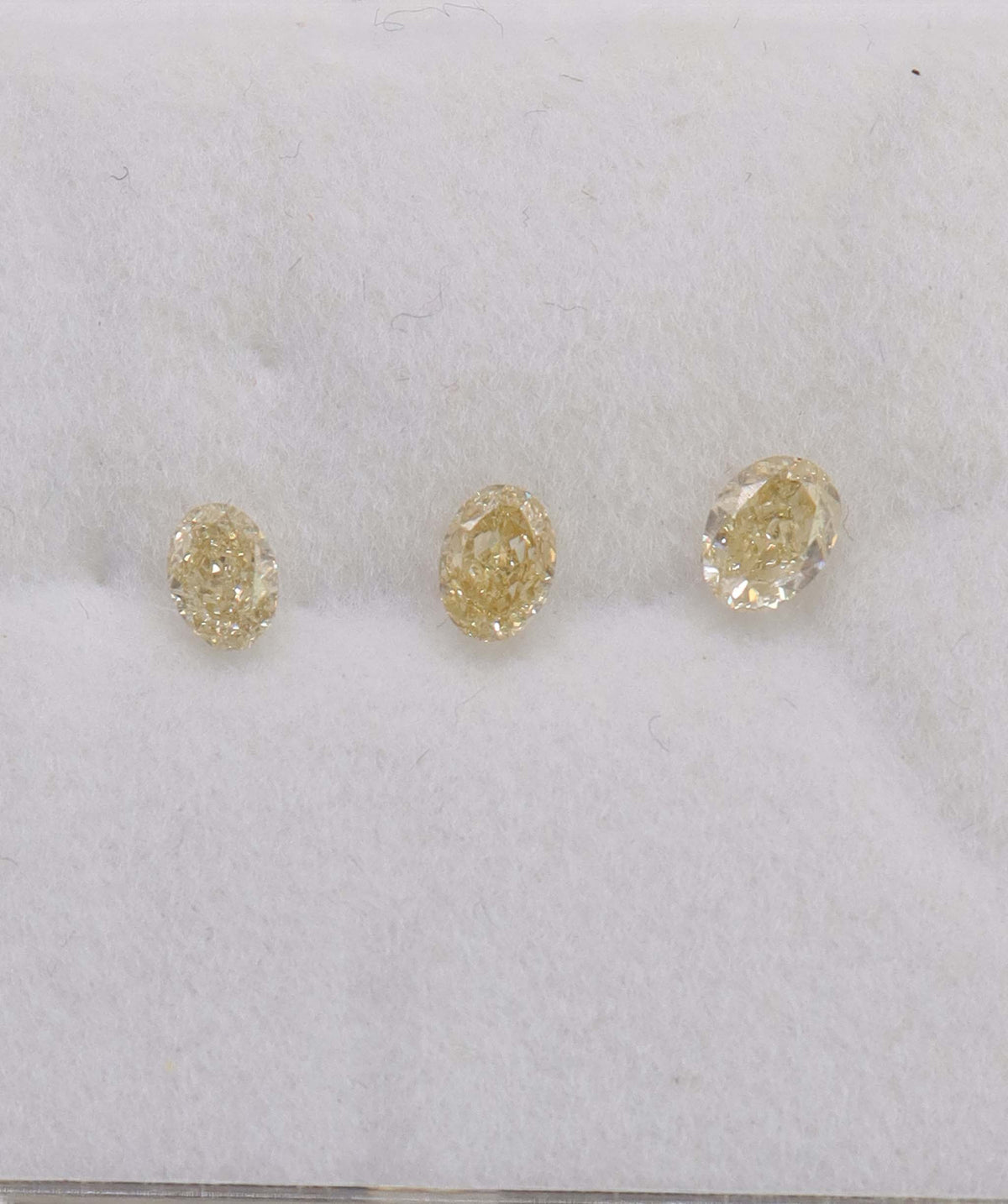 Fancy Yellow Oval Dia ANC2077