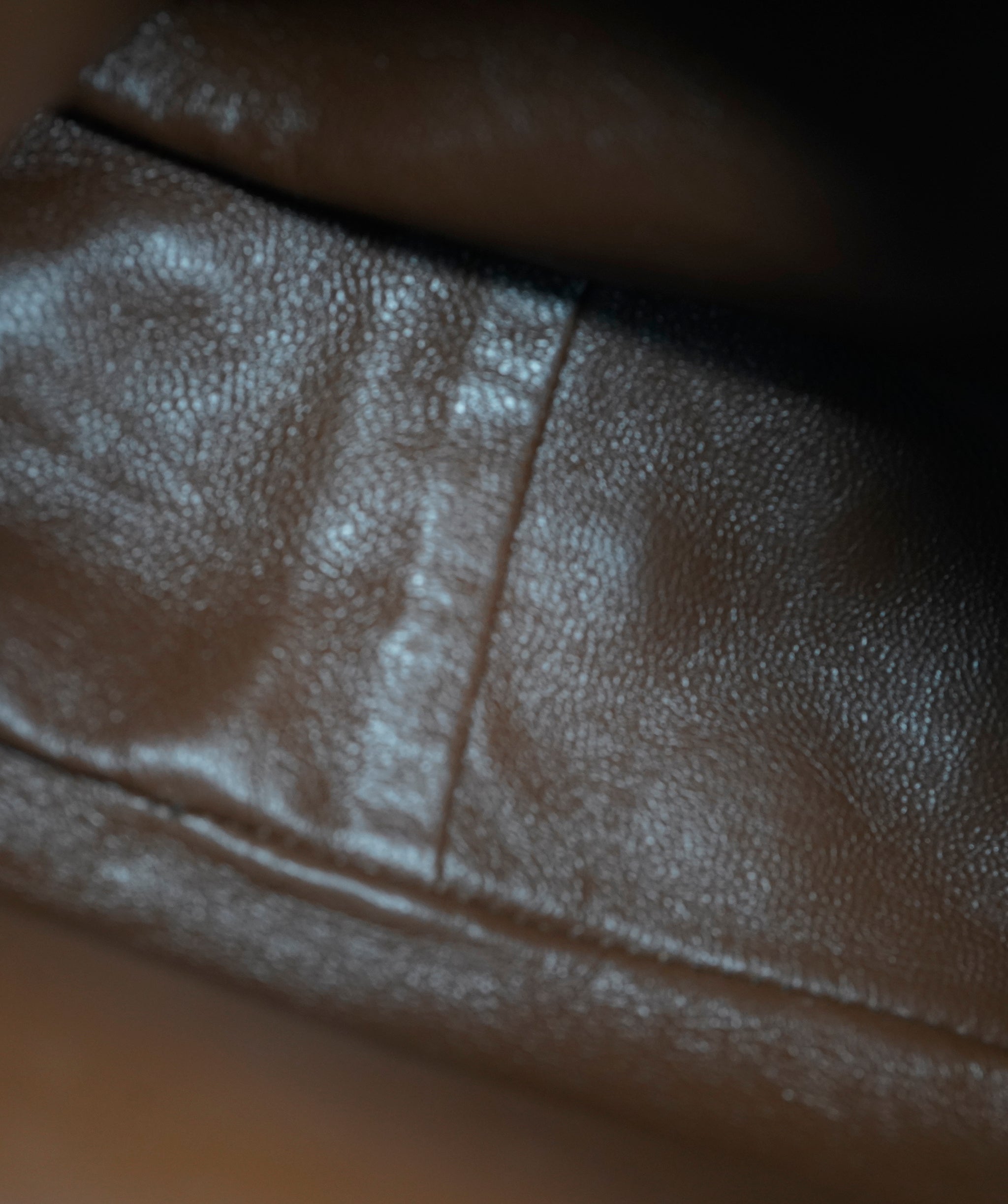 Chanel lambskin brown camera bag  AKC0089