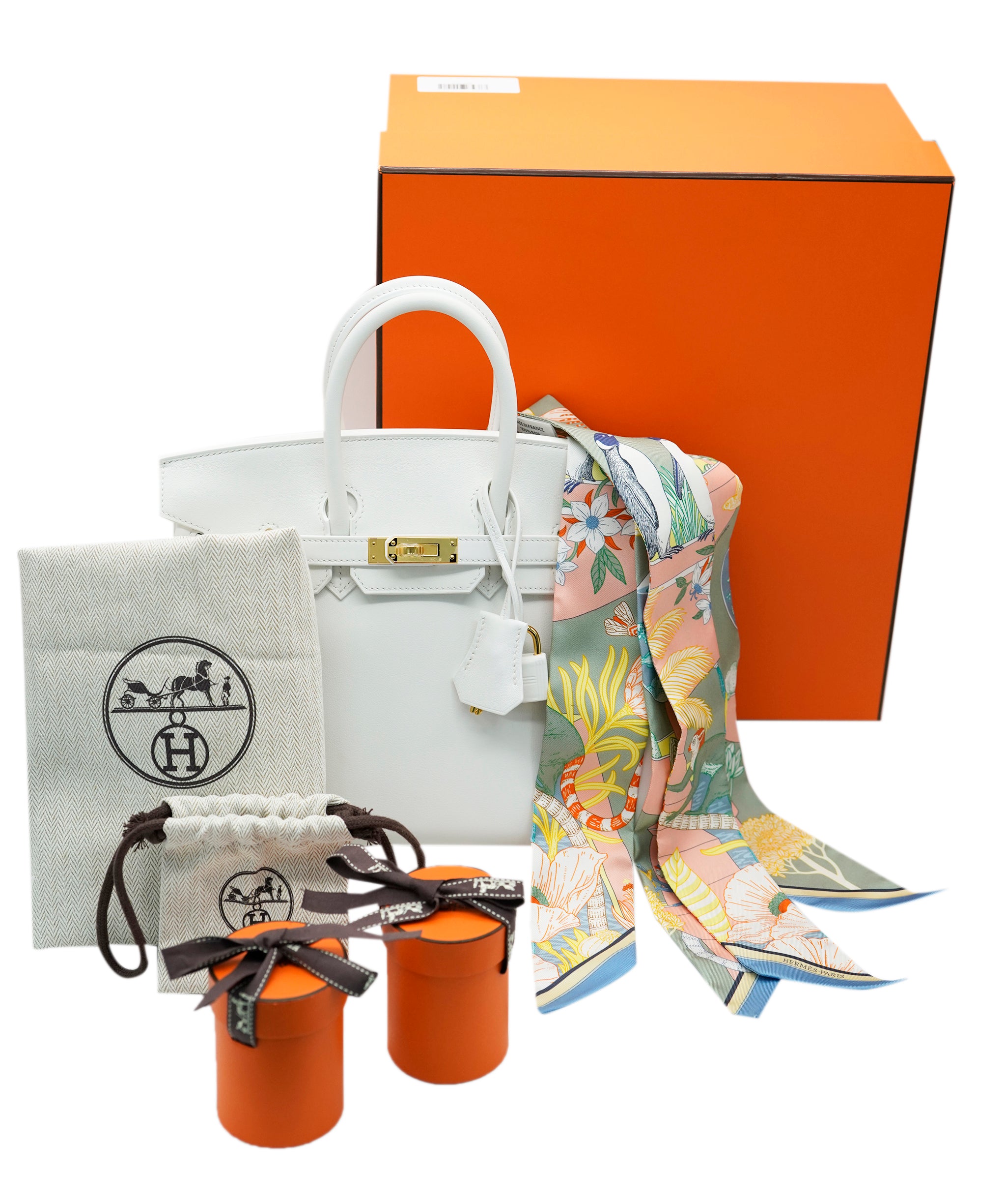 Hermes Birkin 25 New White BNIB 2024 ALC1915