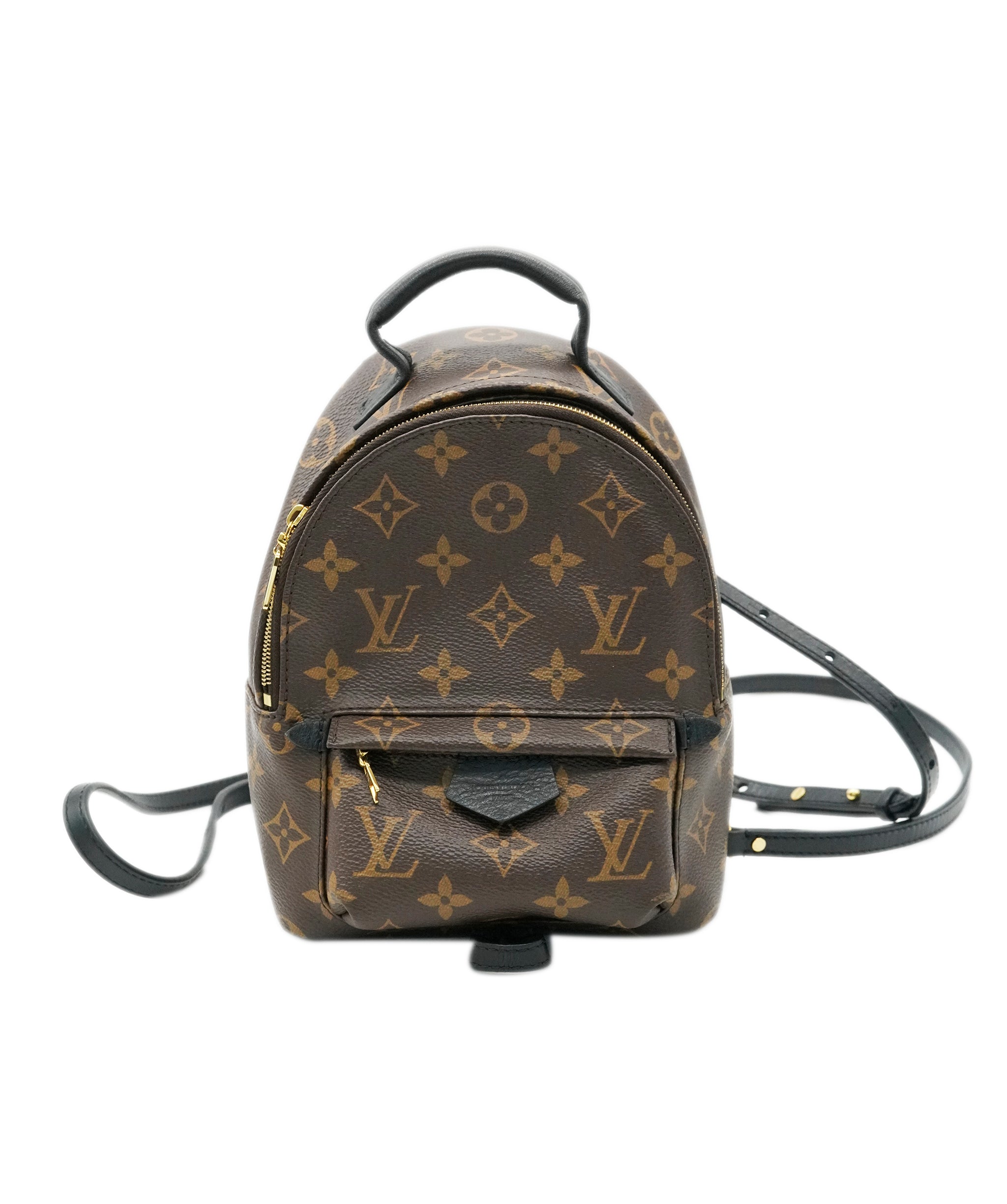 Louis Vuitton Palm Spring Mini Backpack ALC1991