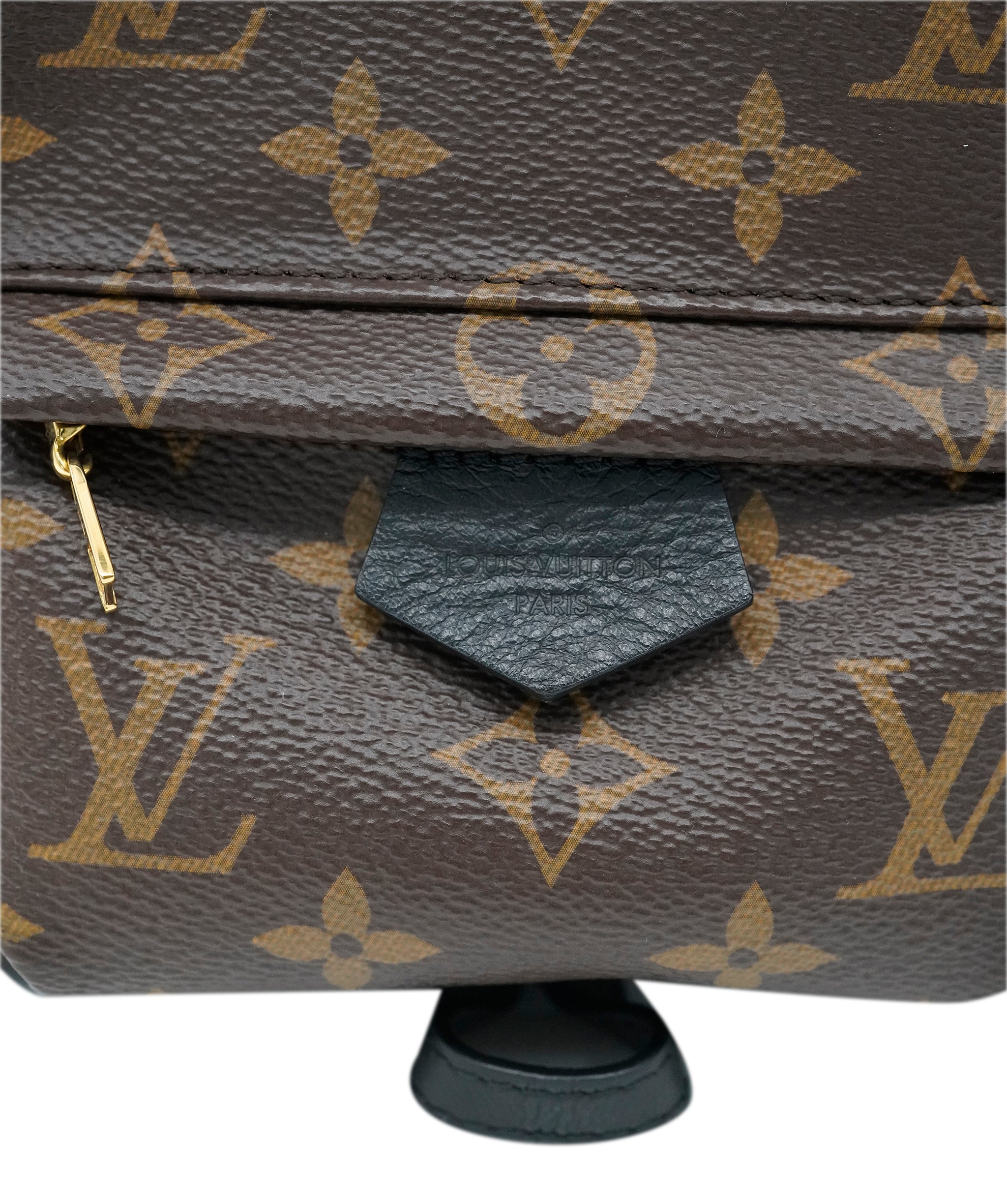 Louis Vuitton Palm Spring Mini Backpack ALC1991