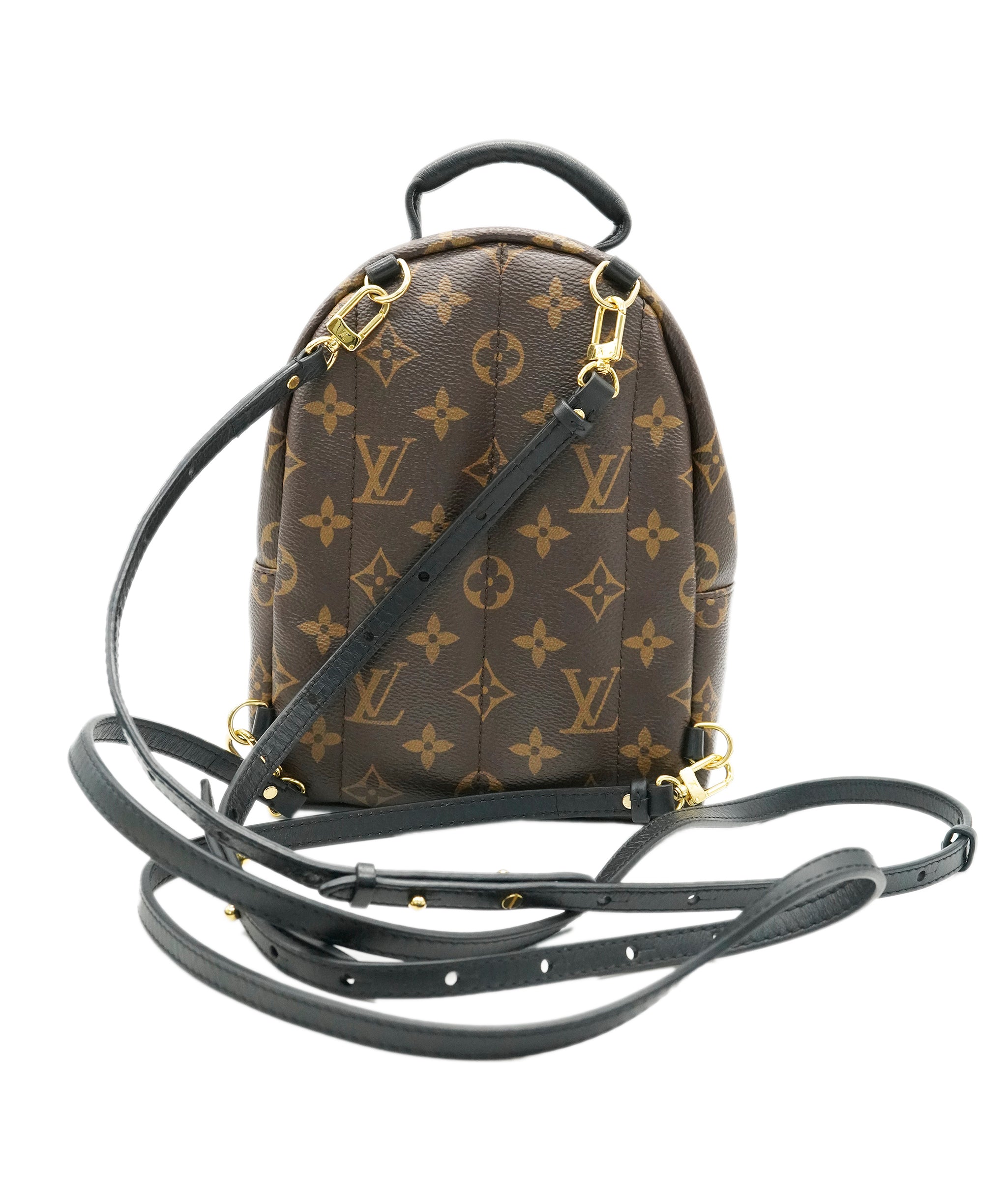 Louis Vuitton Palm Spring Mini Backpack ALC1991