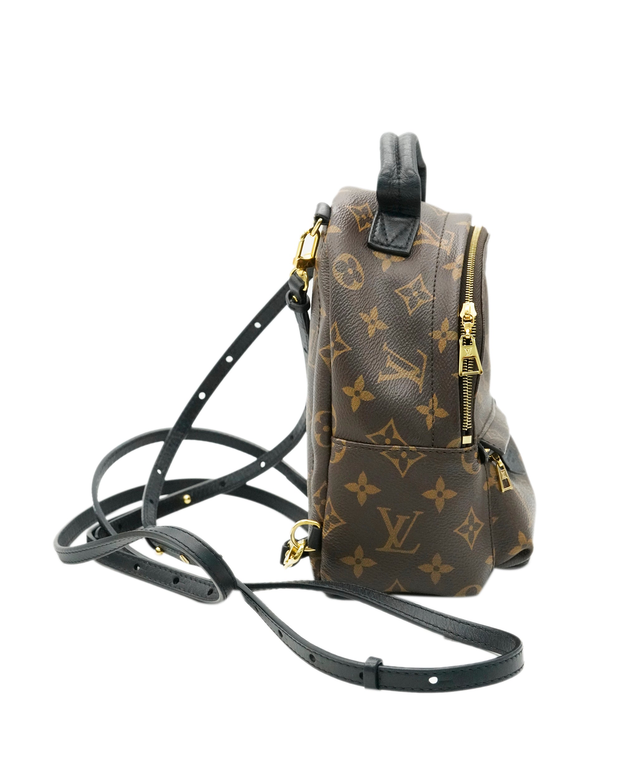 Louis Vuitton Palm Spring Mini Backpack ALC1991