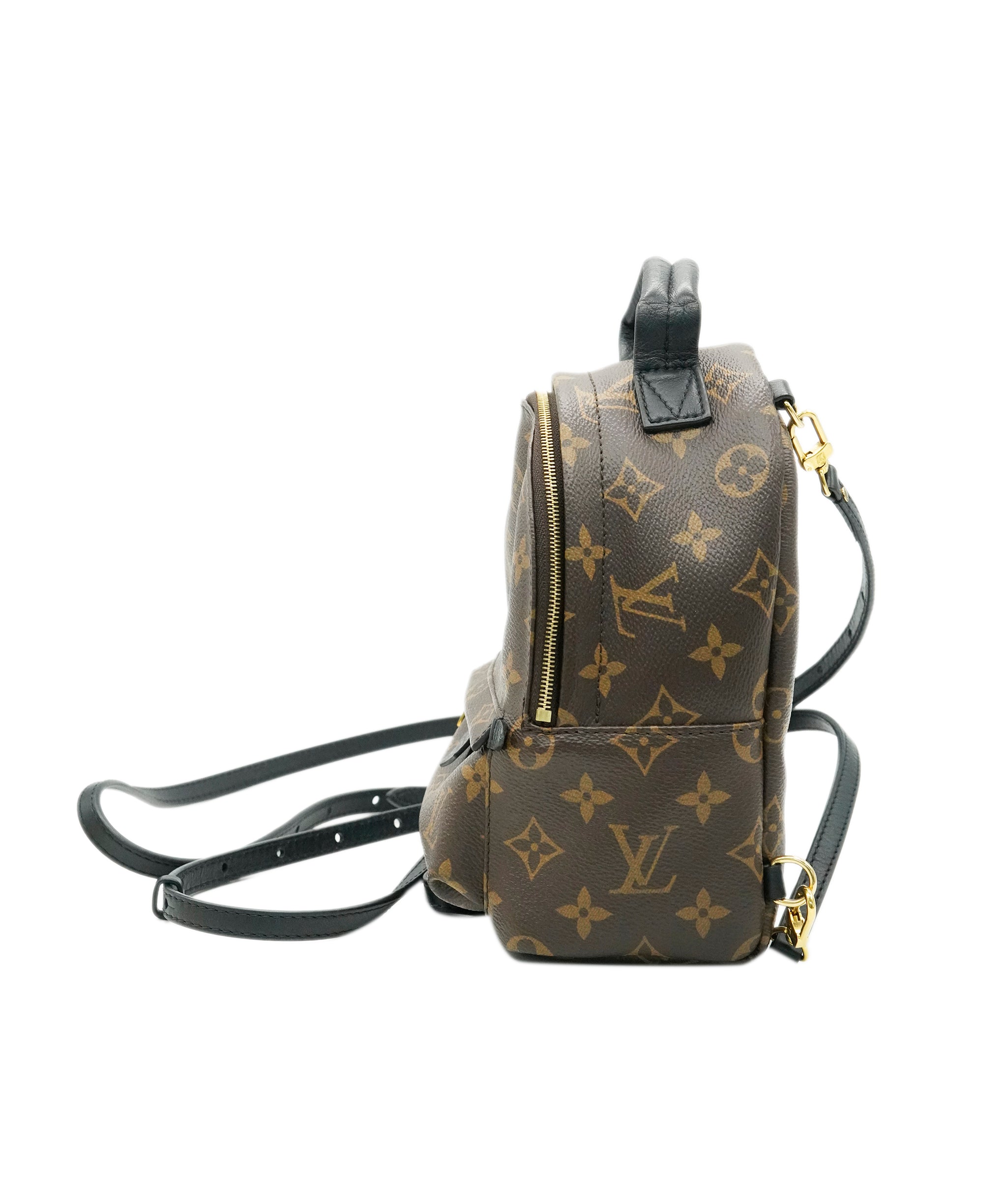 Louis Vuitton Palm Spring Mini Backpack ALC1991