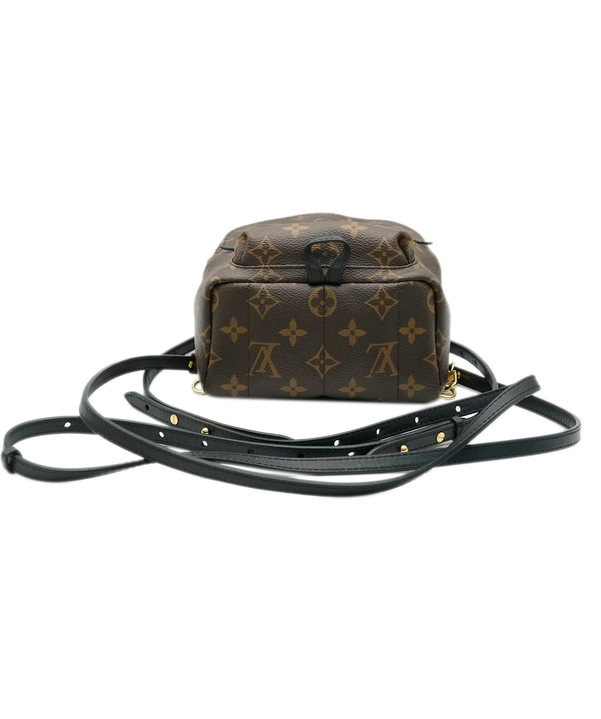 Louis Vuitton Palm Spring Mini Backpack ALC1991