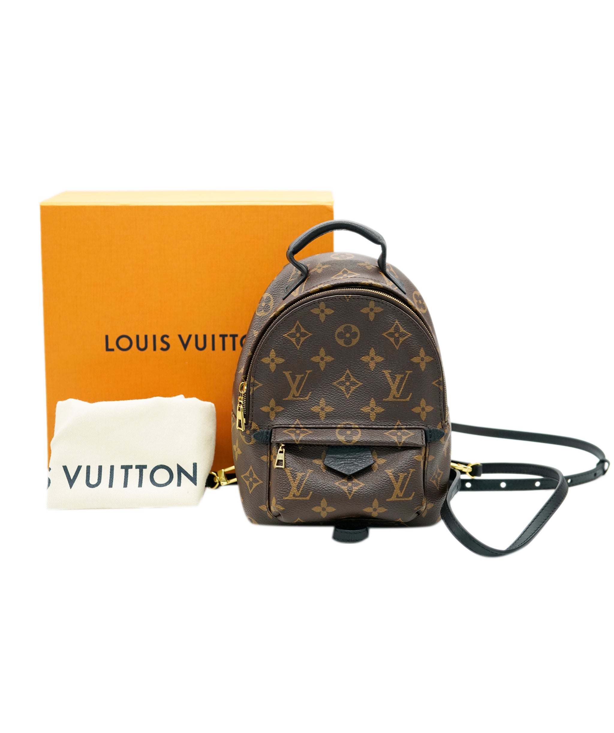 Louis Vuitton Palm Spring Mini Backpack ALC1991