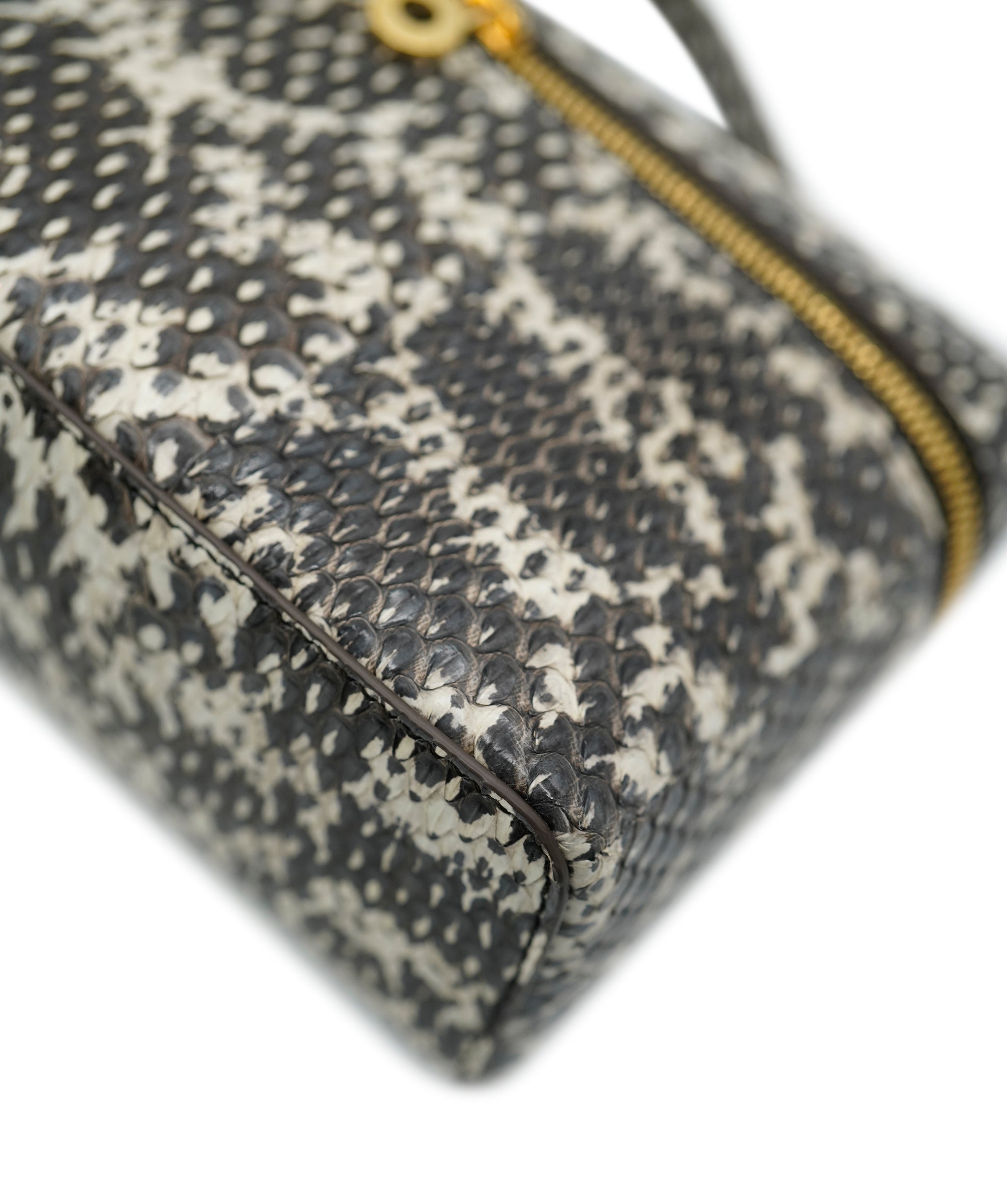 Loro piana L19 rare python bag  - AJC0775