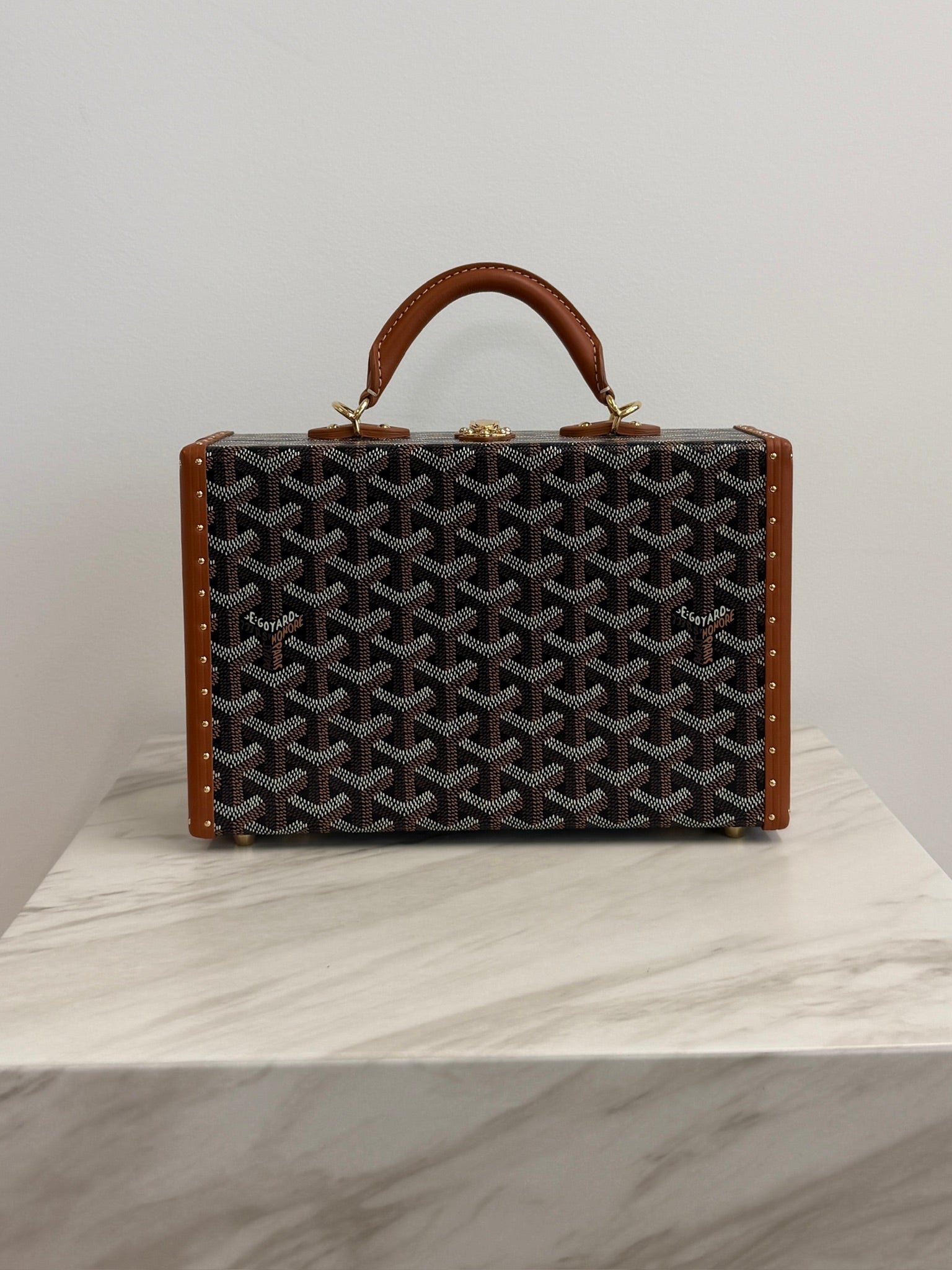 Goyard Grand Hôtel Trunk Bag Black & Tan Gold Hardware