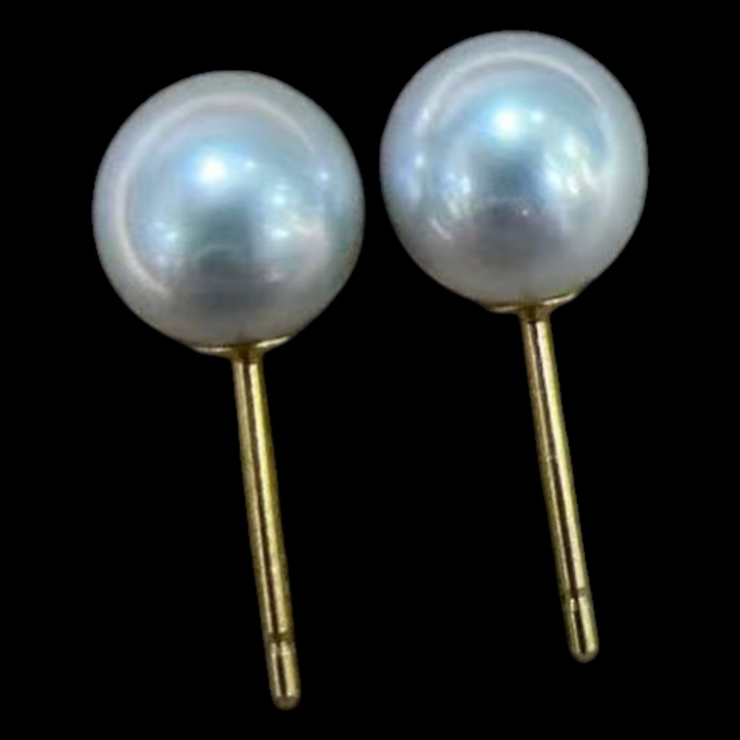 Gray Akoya Pearl 7.5mm Earrings set in 18K Yellow Gold