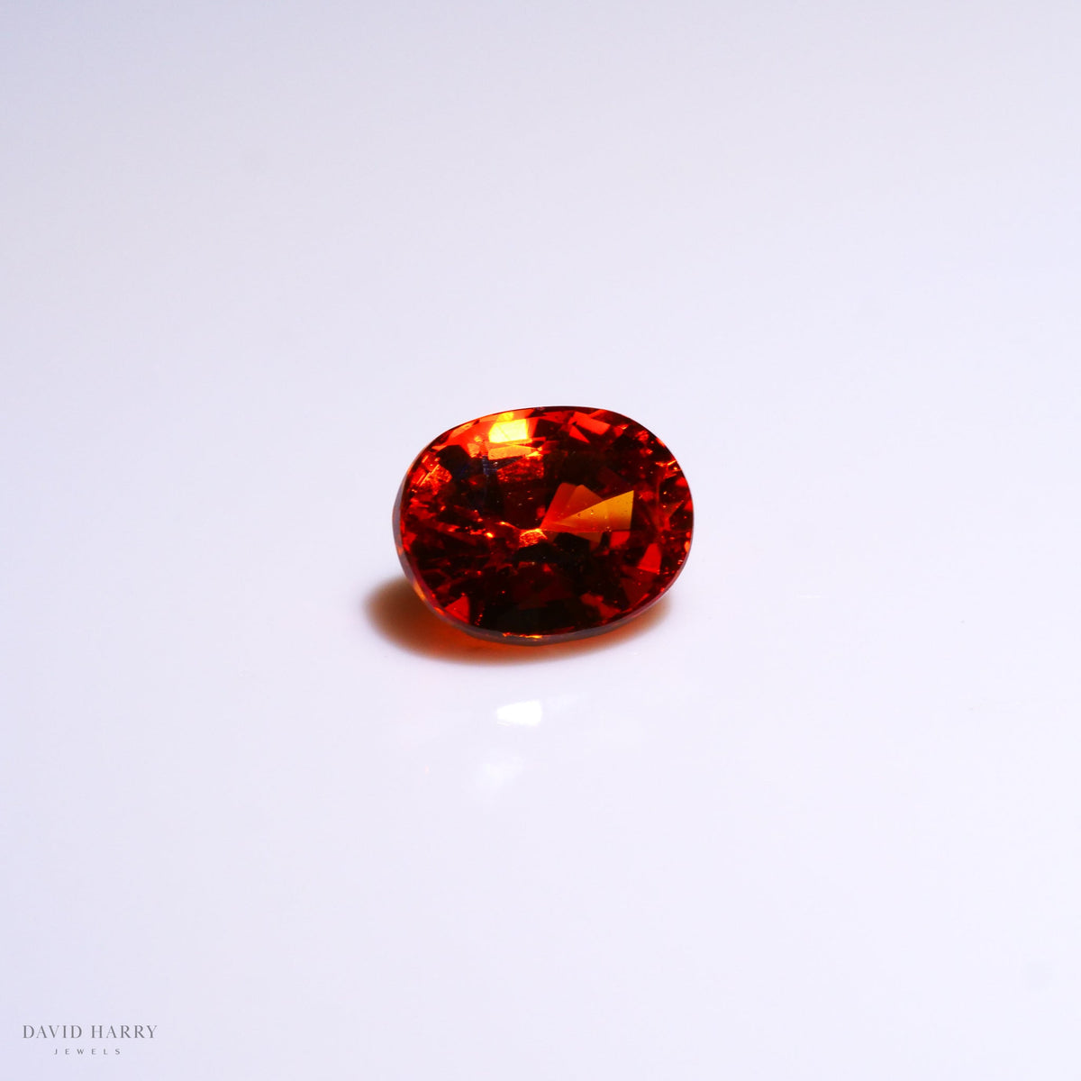 SPE005