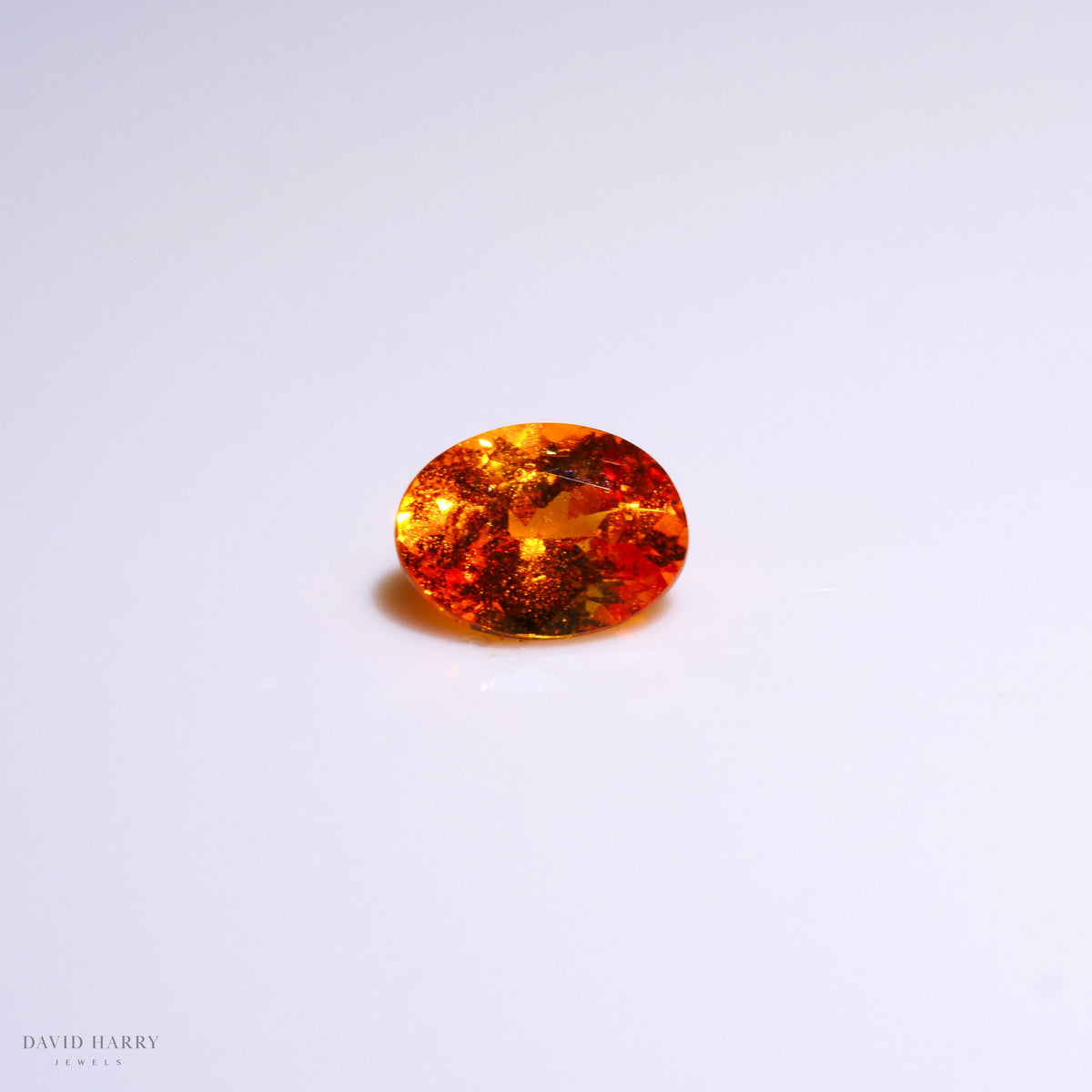 SPE006