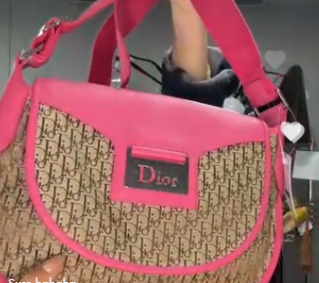 DIOR Trotter Shoulder Canvas x Leather Beige x Pink B0512YLCVU