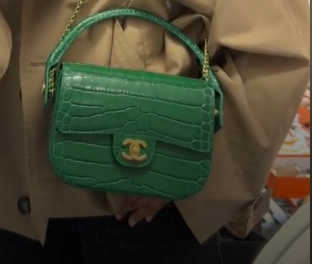 Chanel Limited Croc Green Bag ALC4265