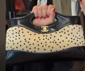 Chanel Polka Dot Bag ALC4216
