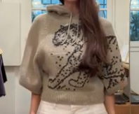 CHRISTIAN DIOR Short sleeves sweater with tiger AGC3779