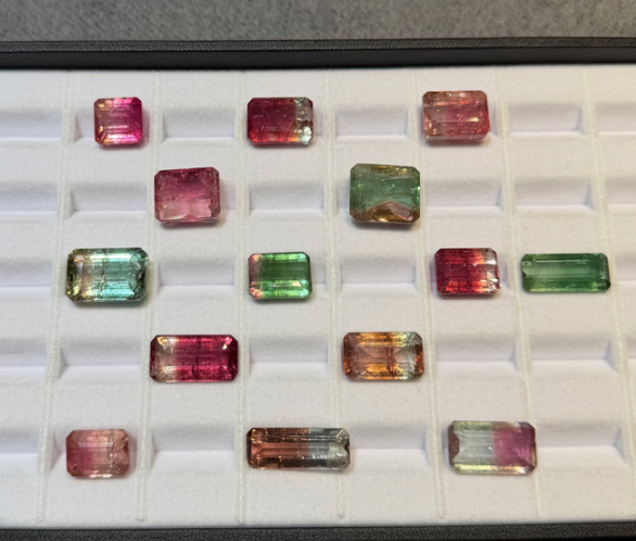 Bi-color Tourmaline (from Afghanistan)(price per 1 stone) THAI0064