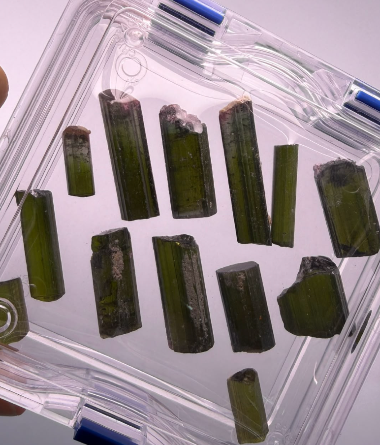 TOURMALINE ROUGH CRYSTALS (13 STONE LOT) ROUGH DXBCS6993