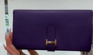 Hermes Crocus Epsom Bearn Wallet PHW #P 2012  SYC2313