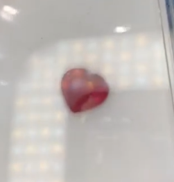 RUBELLITE Heart 6.77crt DXBCS6570